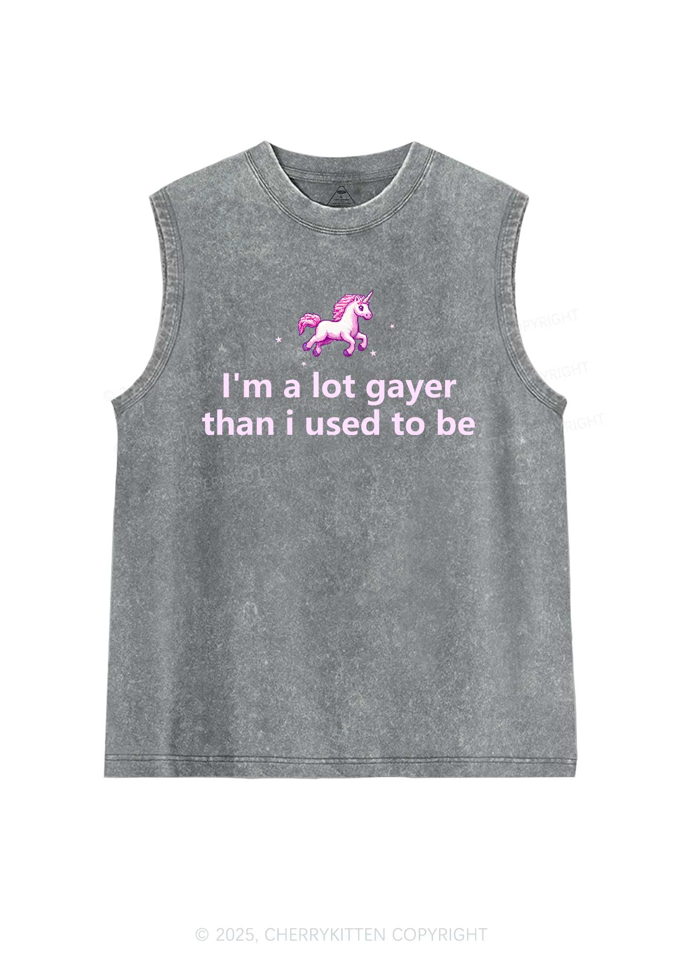 Im A Lot Gayer Pride Y2K Washed Muscle Tank Cherrykitten