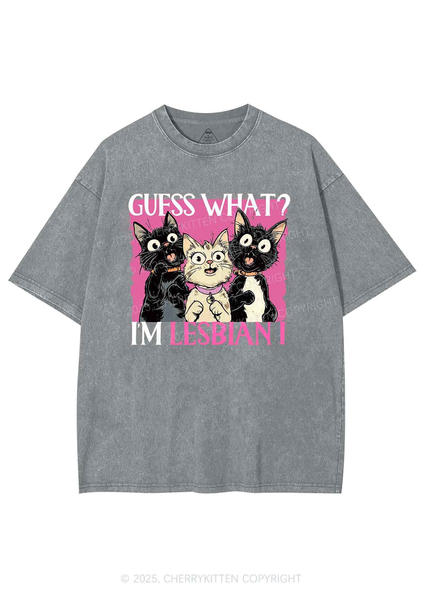Im Lesbian Cat Pride Y2K Shirts Washed Tee Cherrykitten