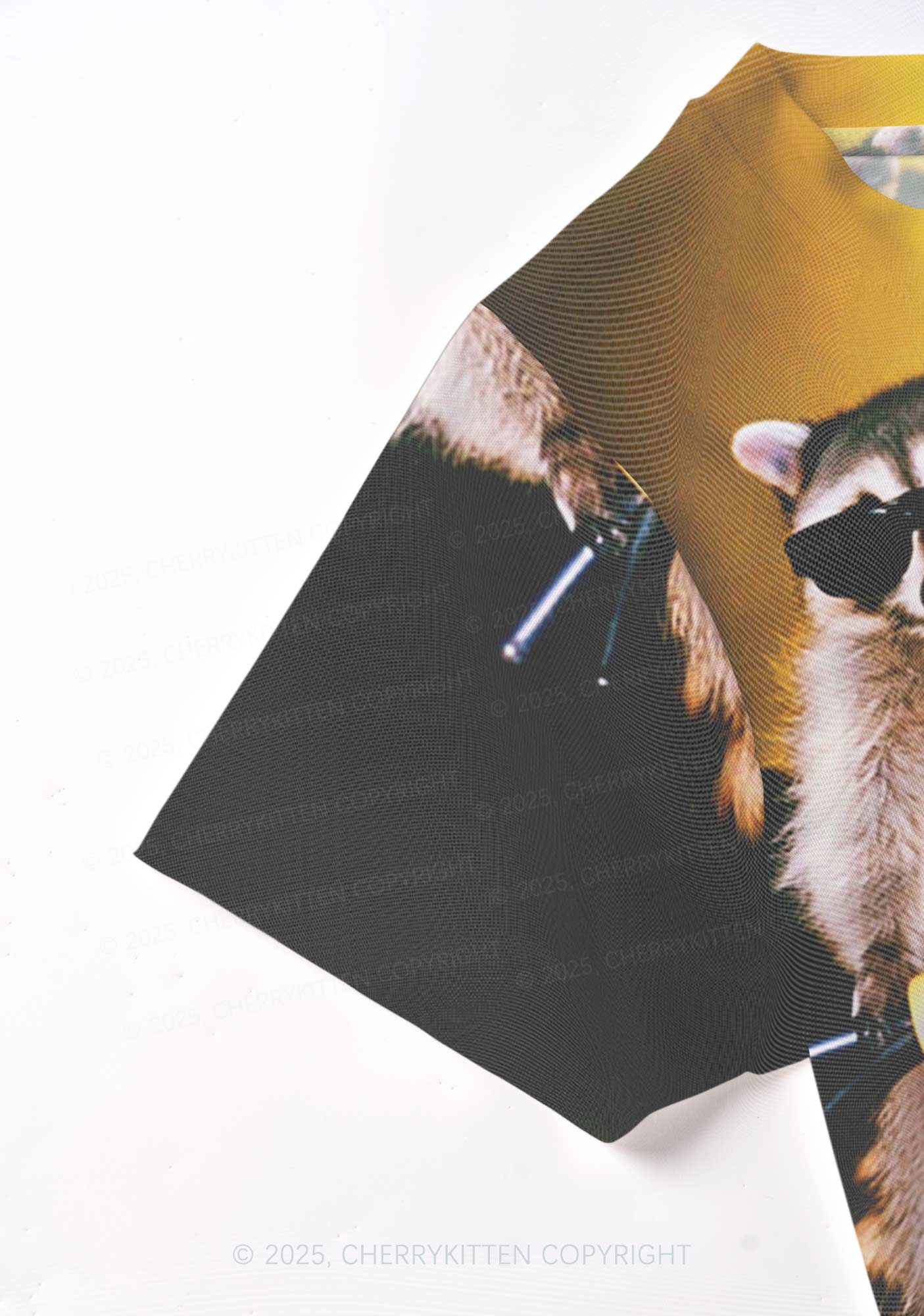 Raccoon Riders Y2K Mesh Crop Top Cherrykitten