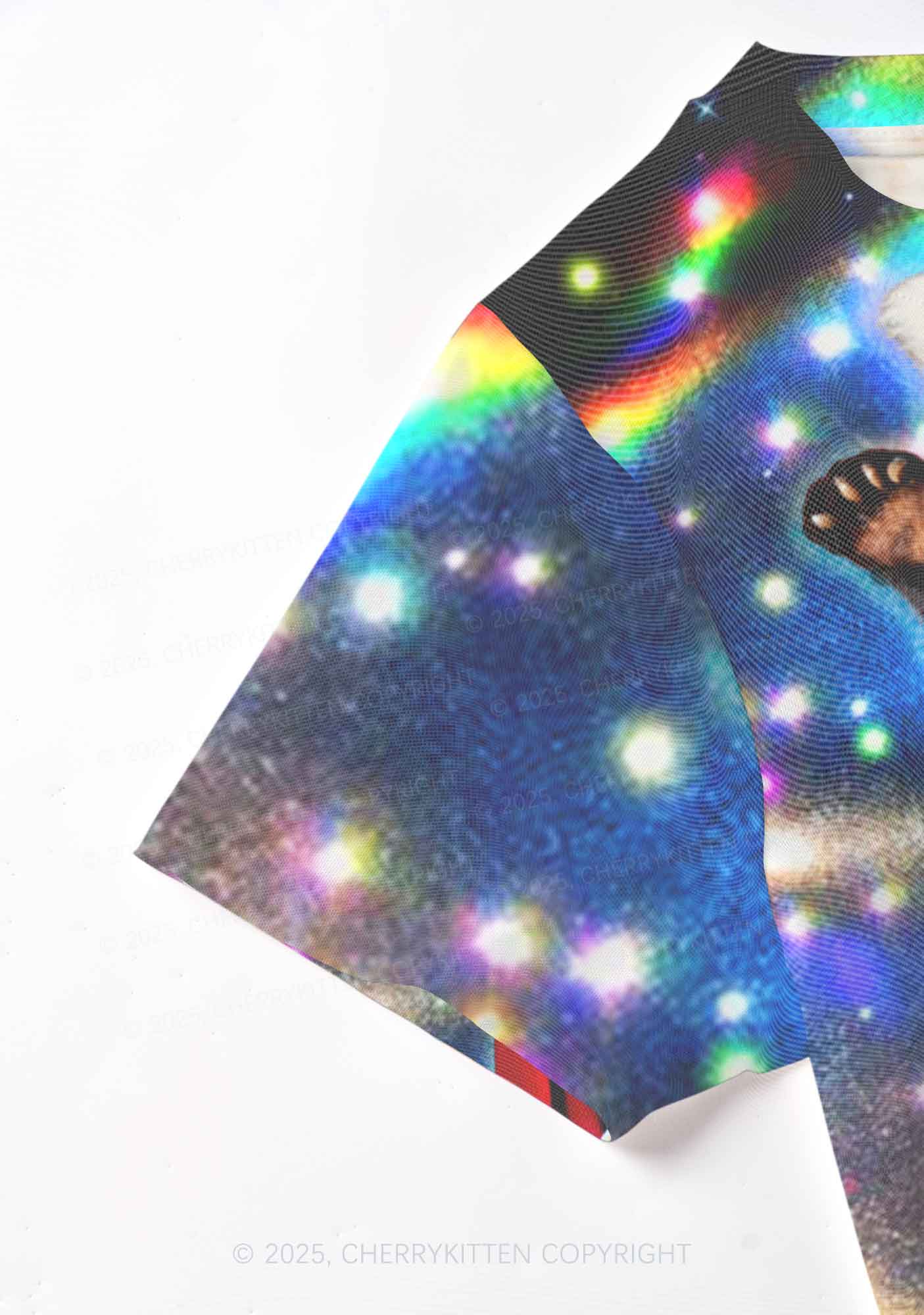 Super Raccoon Y2K Mesh Crop Top Cherrykitten
