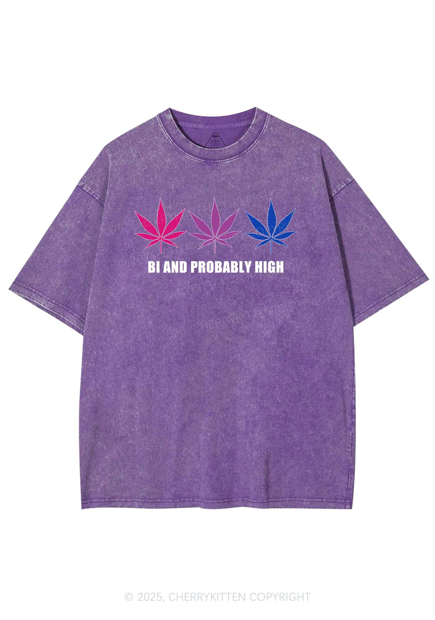 Bi Probably High Pride Y2K Shirts Washed Tee Cherrykitten