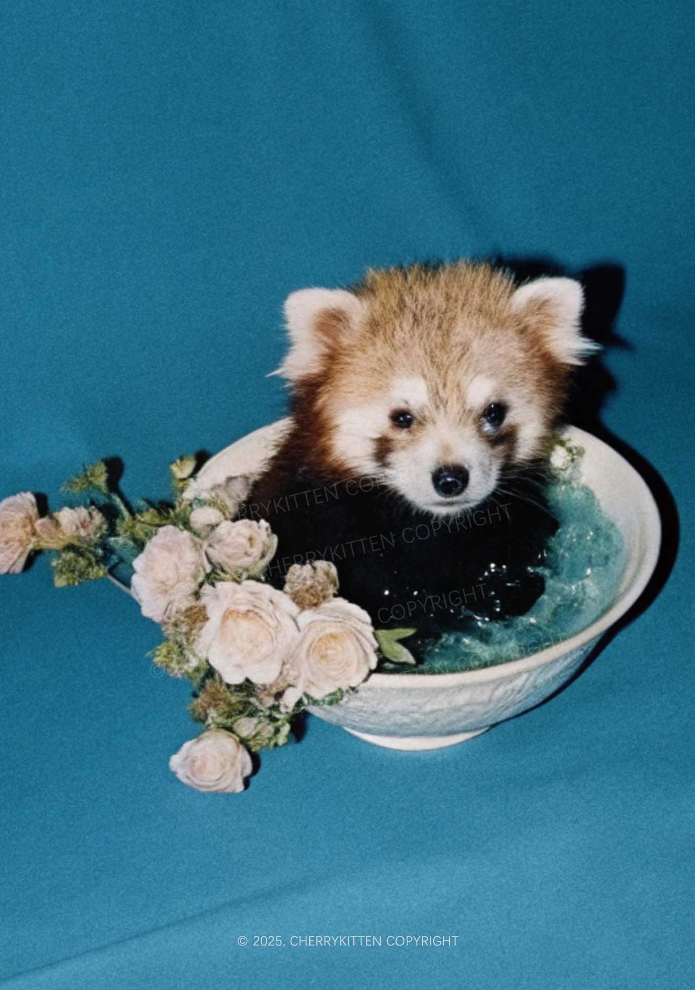 Red Panda In Bowl Y2K Print Cami Crop Top Cherrykitten