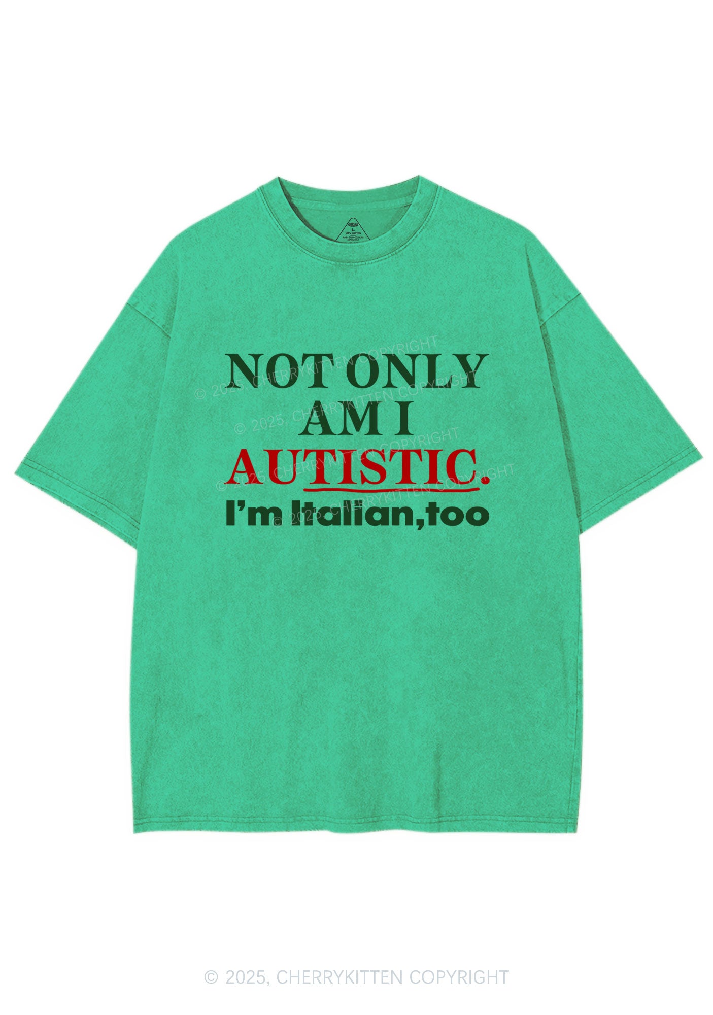 Not Only Autistic Y2K Shirts Washed Tee Cherrykitten