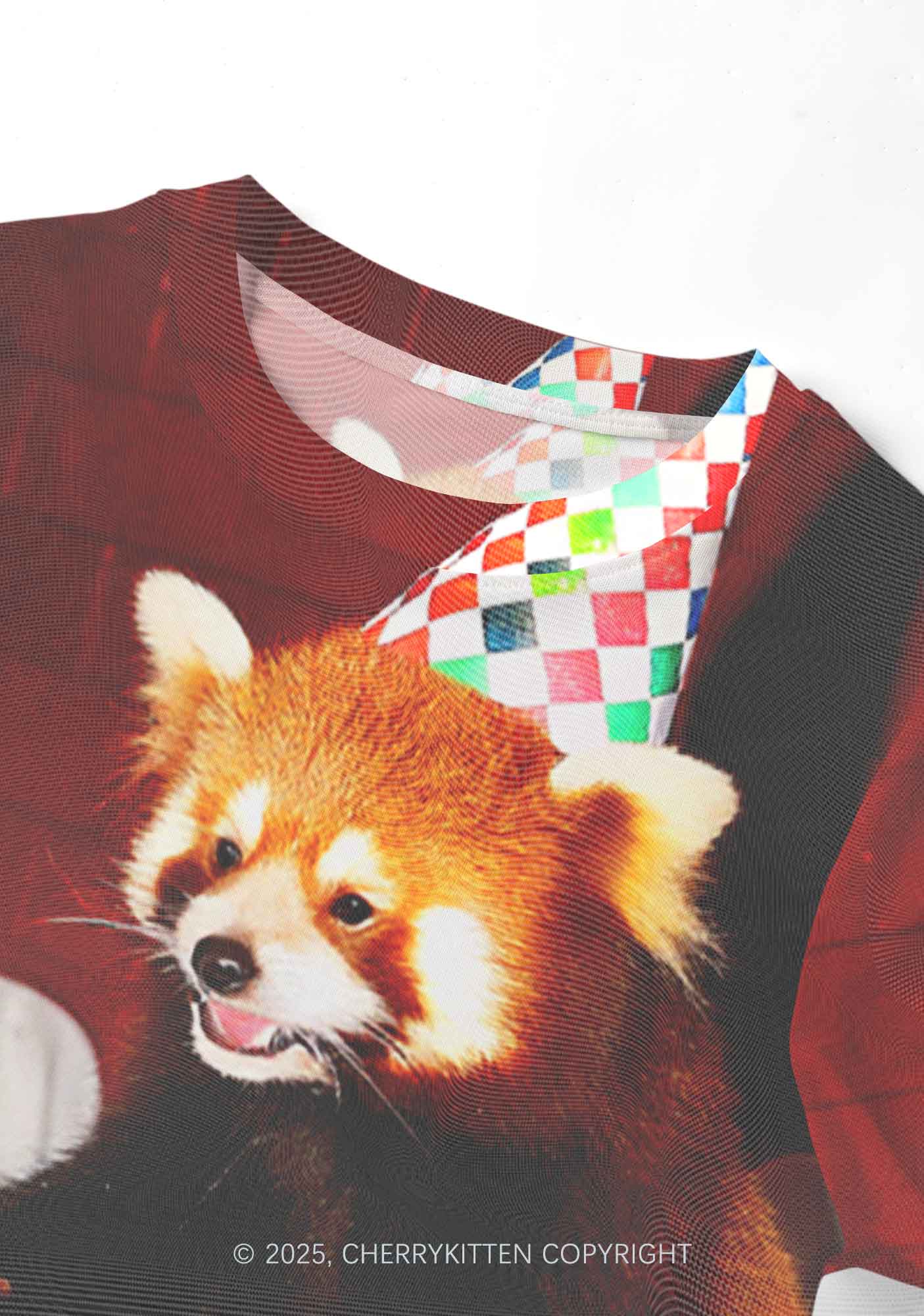 Birthday Cake Raccoon Y2K Mesh Crop Top Cherrykitten