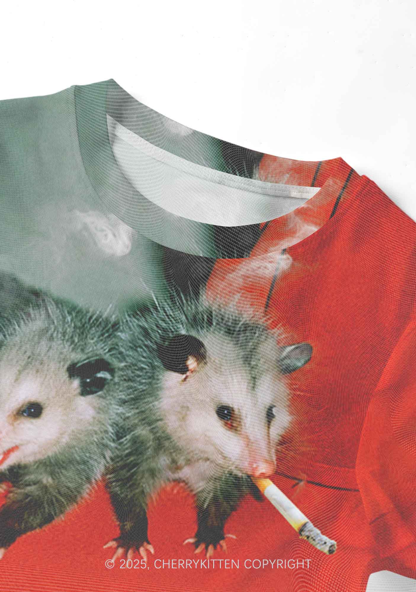 Smoking Badass Rats Y2K Mesh Crop Top Cherrykitten