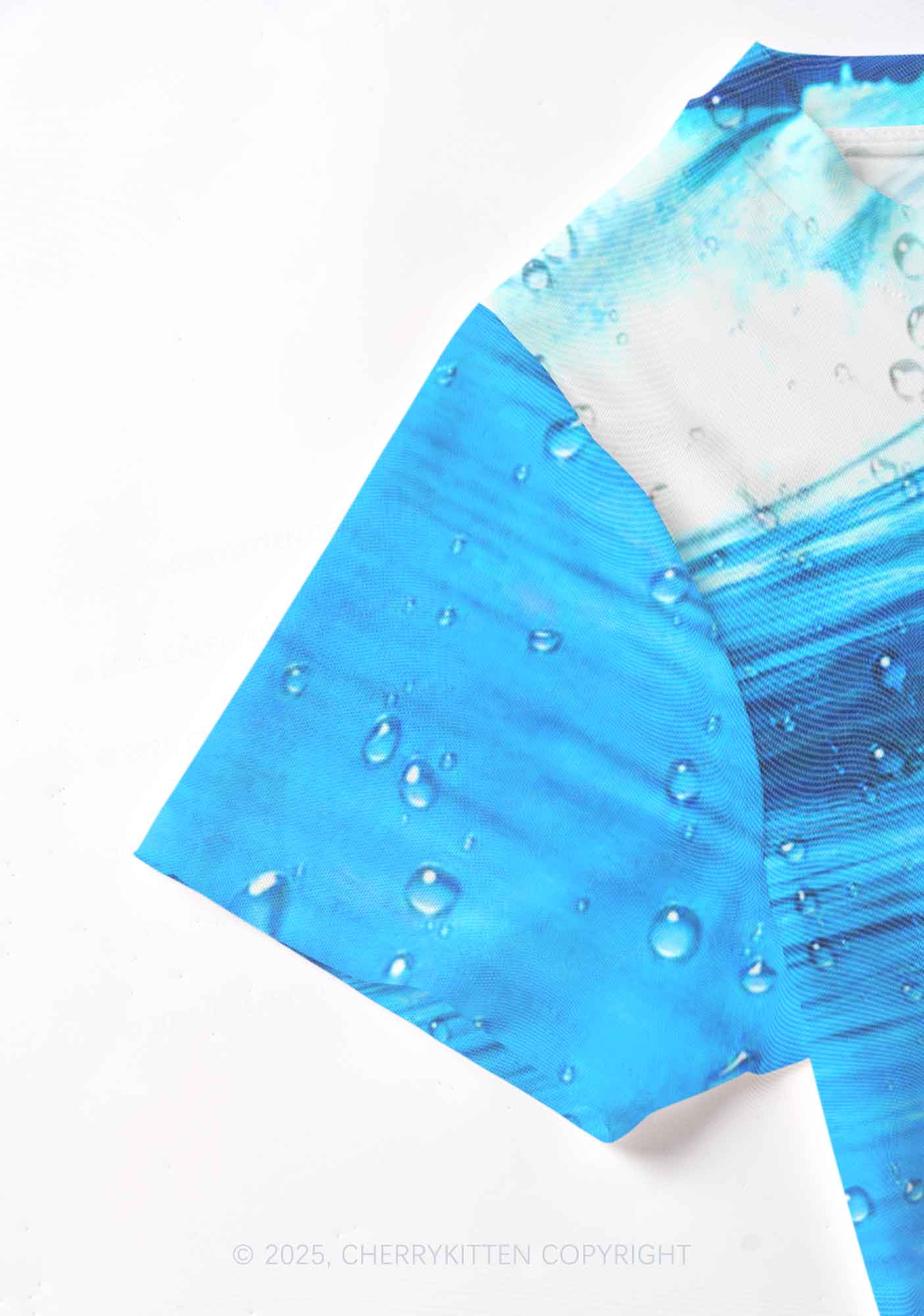 Surfing Mouse Y2K Mesh Crop Top Cherrykitten
