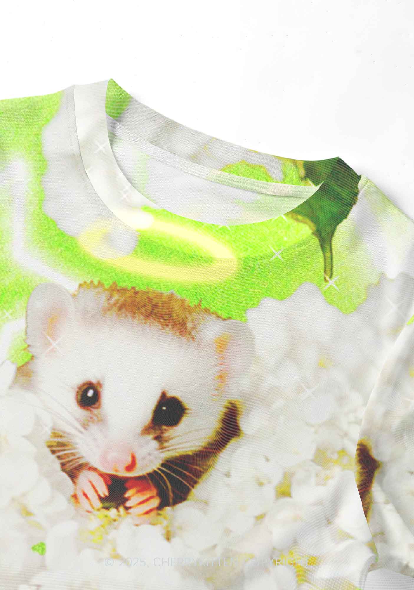 Flower Angel Ratz Y2K Mesh Crop Top Cherrykitten