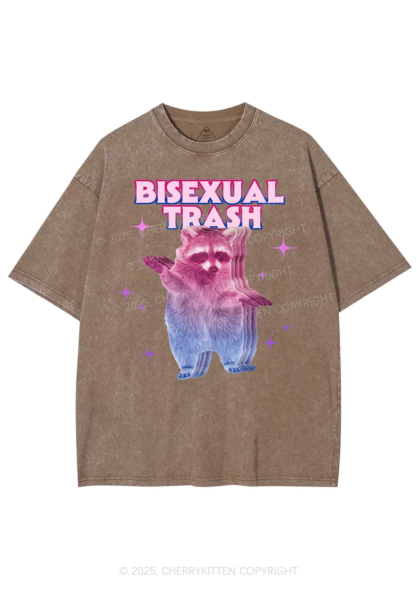 Bisexual Trash Raccoon Pride Y2K Shirts Washed Tee Cherrykitten