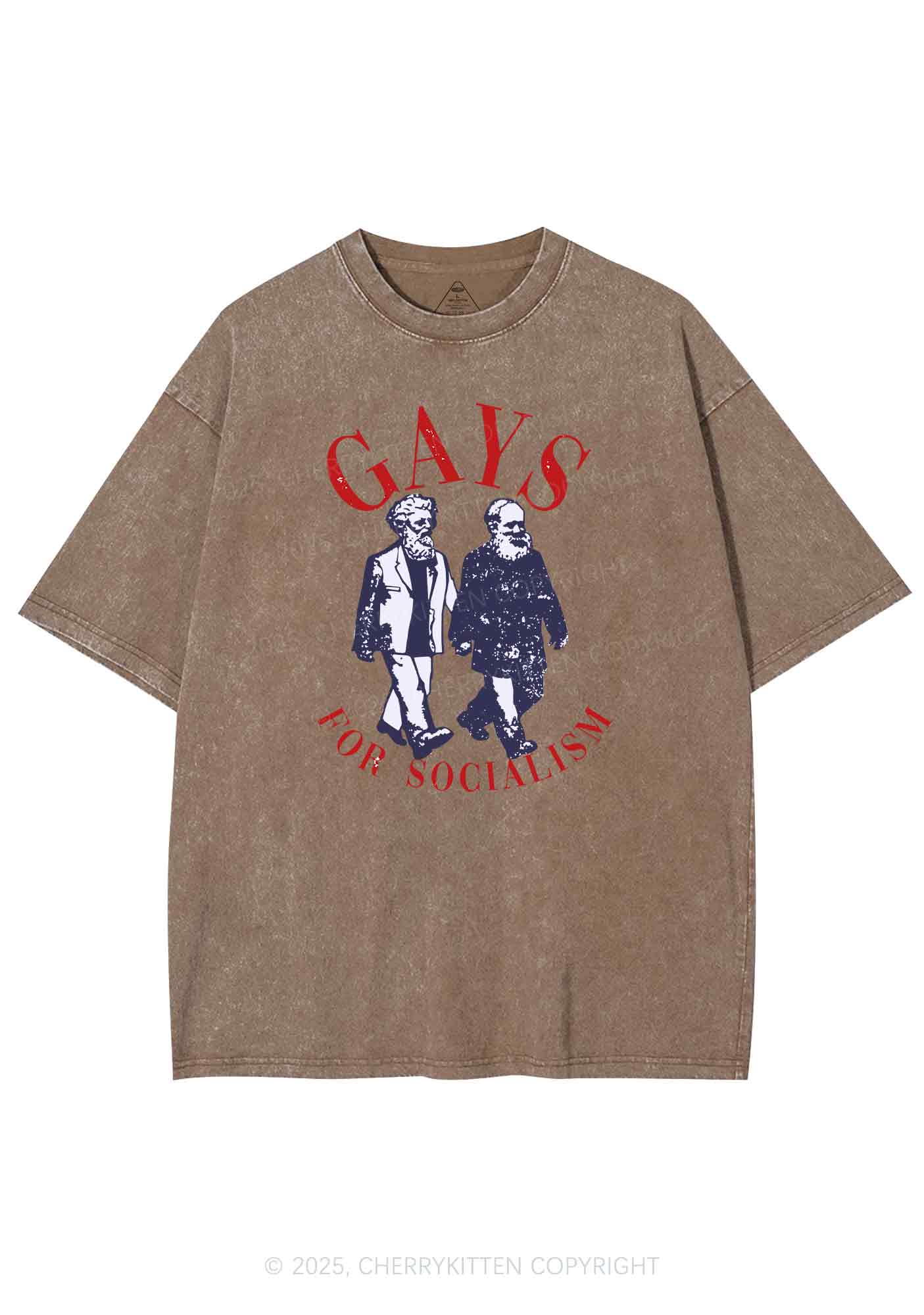 Gays For Socialism Pride Y2K Shirts Washed Tee Cherrykitten