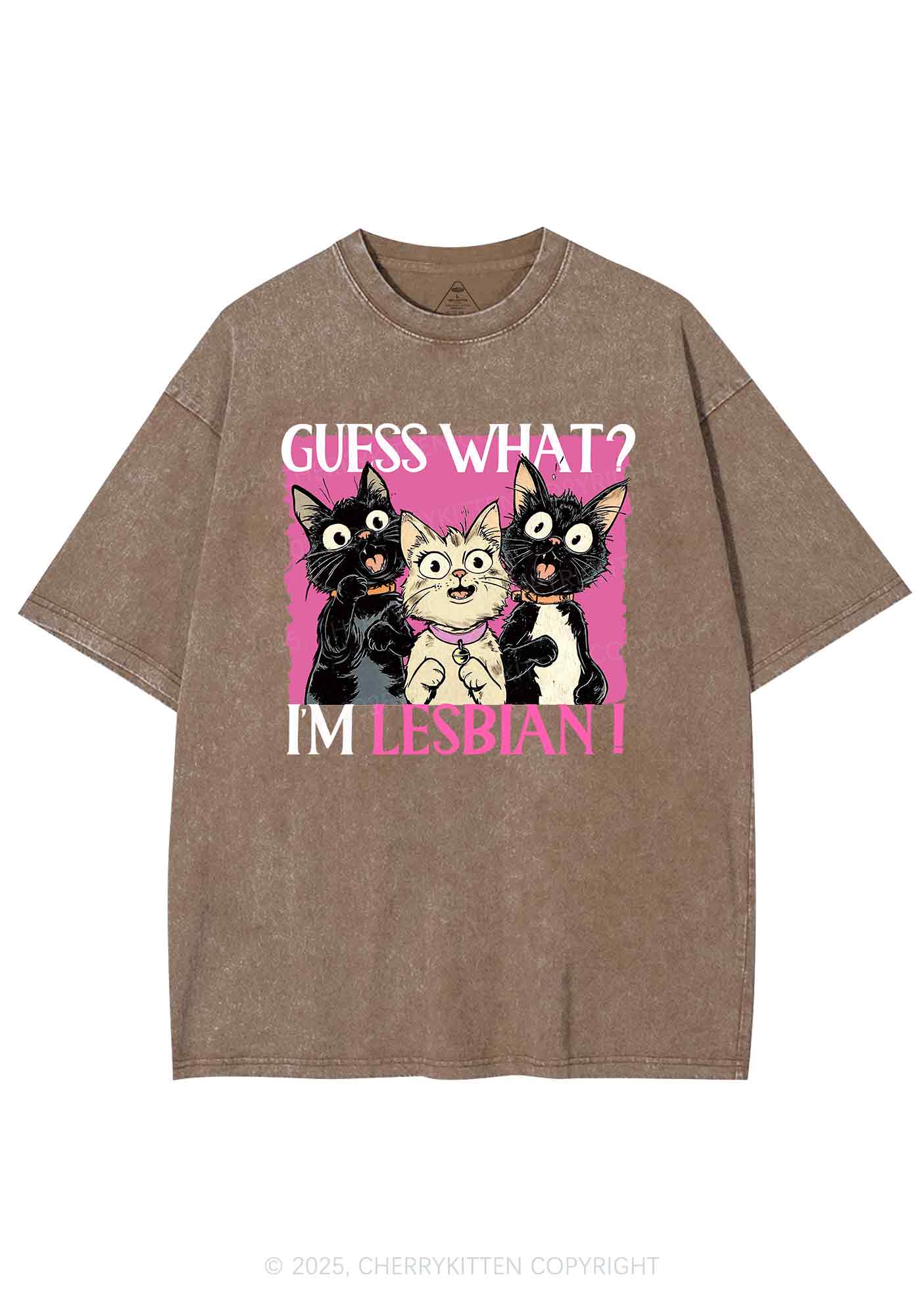 Im Lesbian Cat Pride Y2K Shirts Washed Tee Cherrykitten