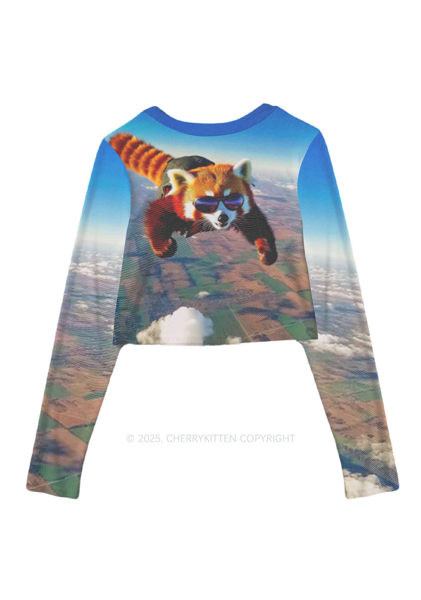 Flying Cool Raccoon Y2K Mesh Long Sleeve Crop Top Cherrykitten