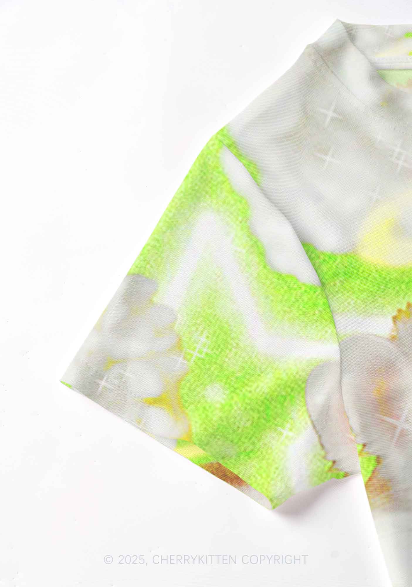 Flower Angel Ratz Y2K Mesh Crop Top Cherrykitten