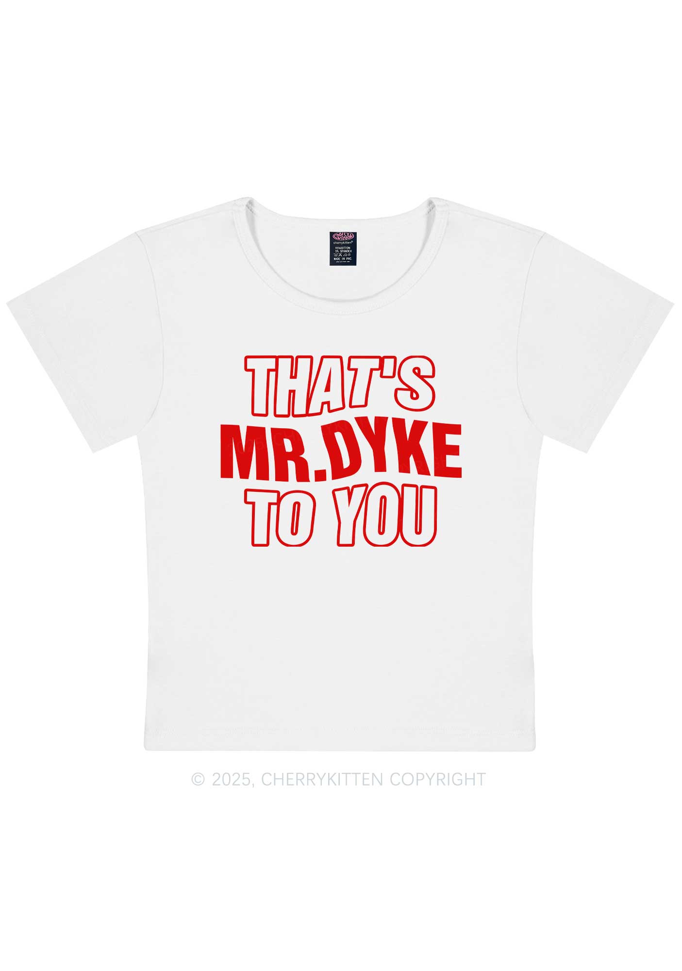 Thats Mr Dyke Pride Y2K Baby Tee Cherrykitten