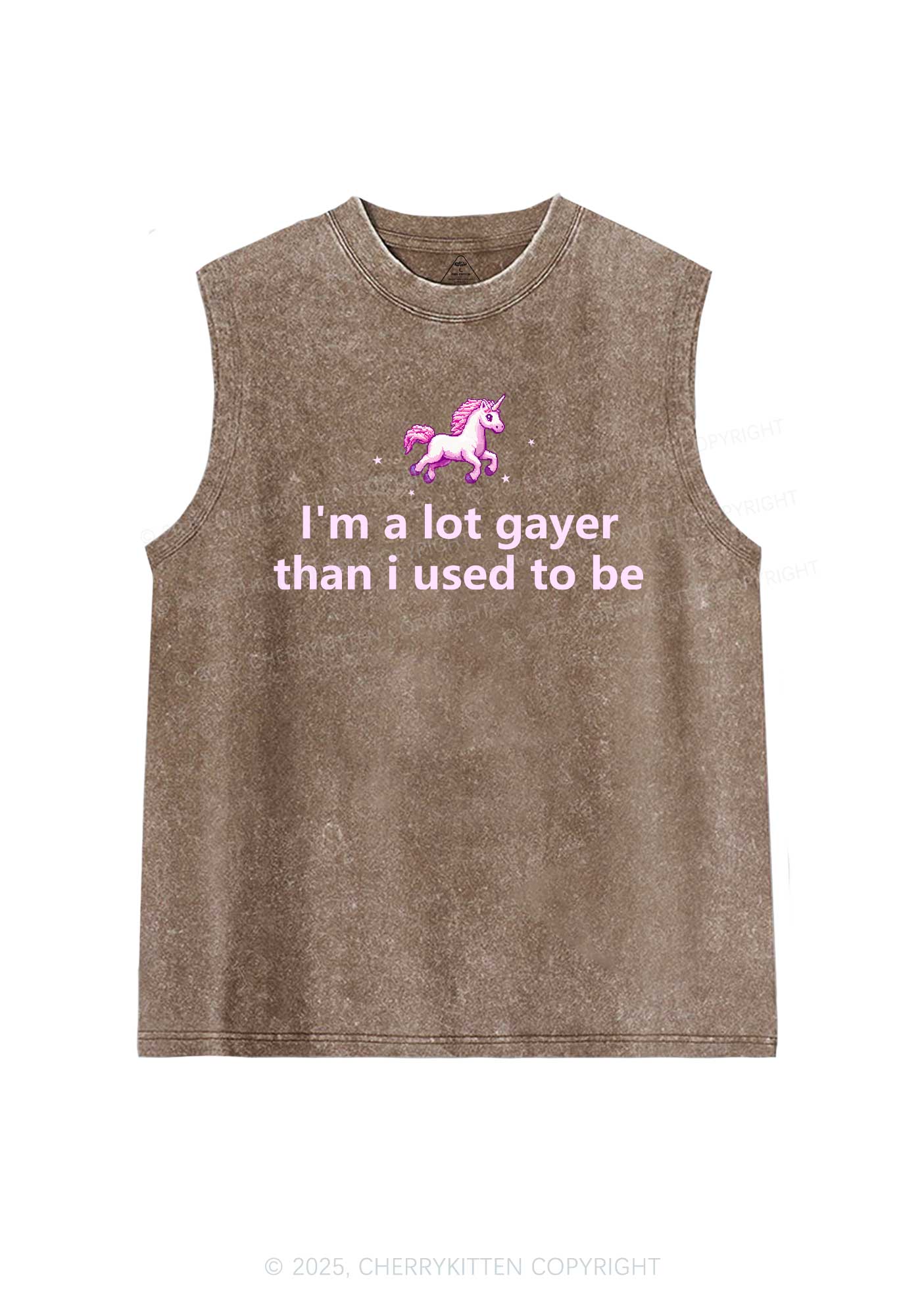 Im A Lot Gayer Pride Y2K Washed Muscle Tank Cherrykitten