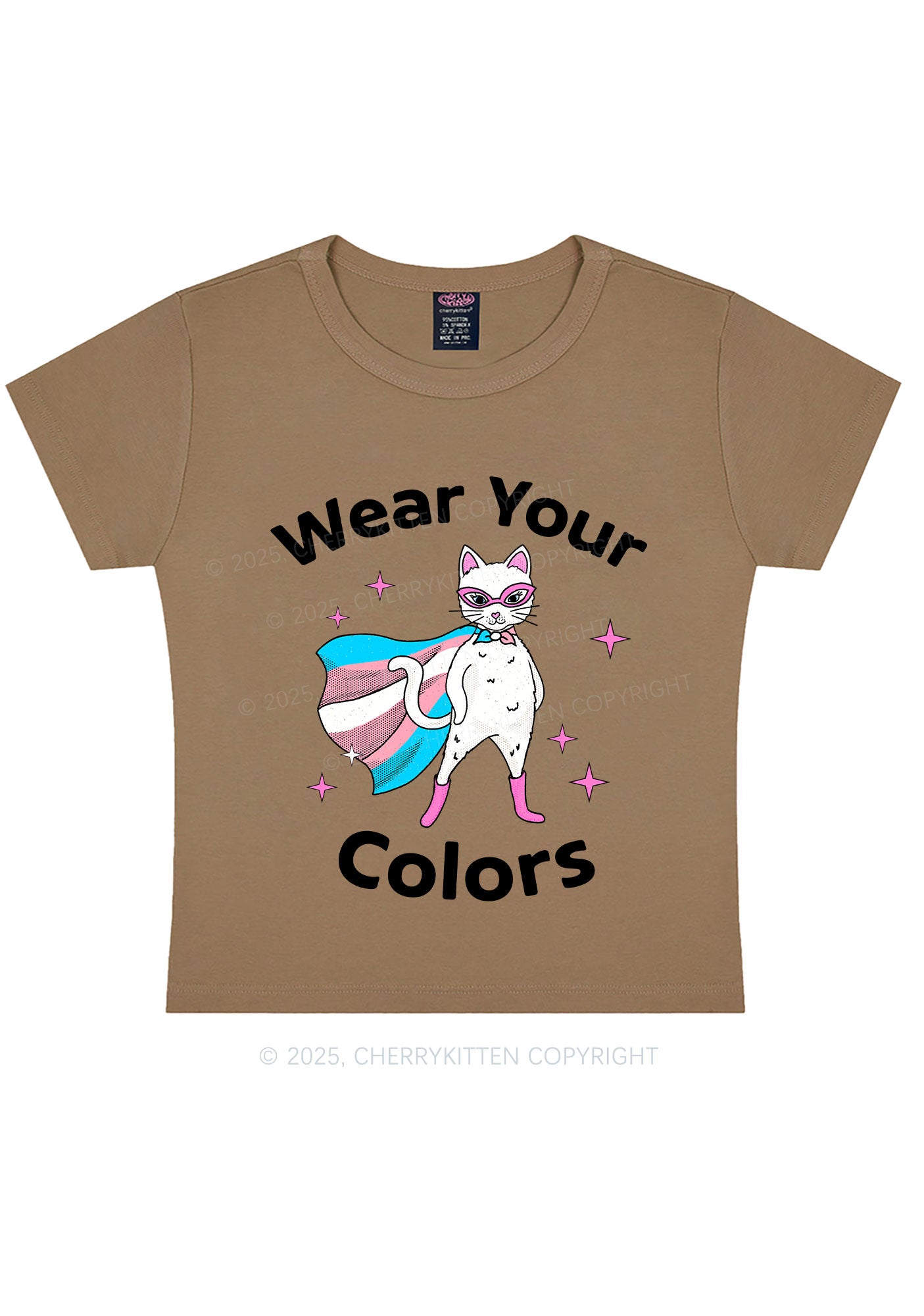 Transgender Flag Cat Pride Y2K Baby Tee Cherrykitten