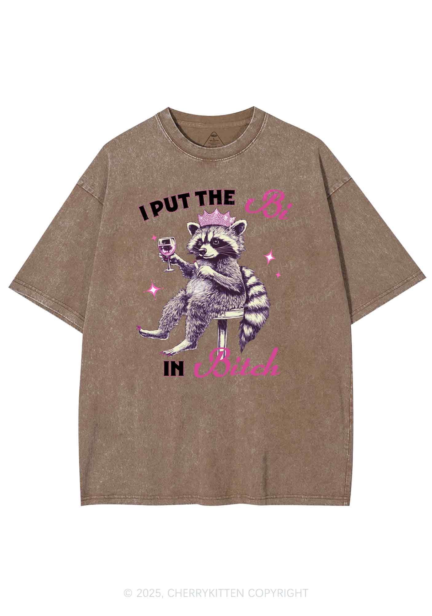 Bi Bxxch Raccoon Pride Y2K Shirts Washed Tee Cherrykitten