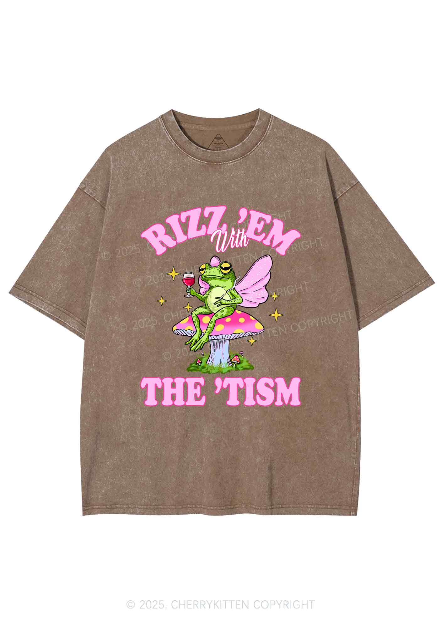 Fairy Frog Rizz Tism Y2K Shirts Washed Tee Cherrykitten