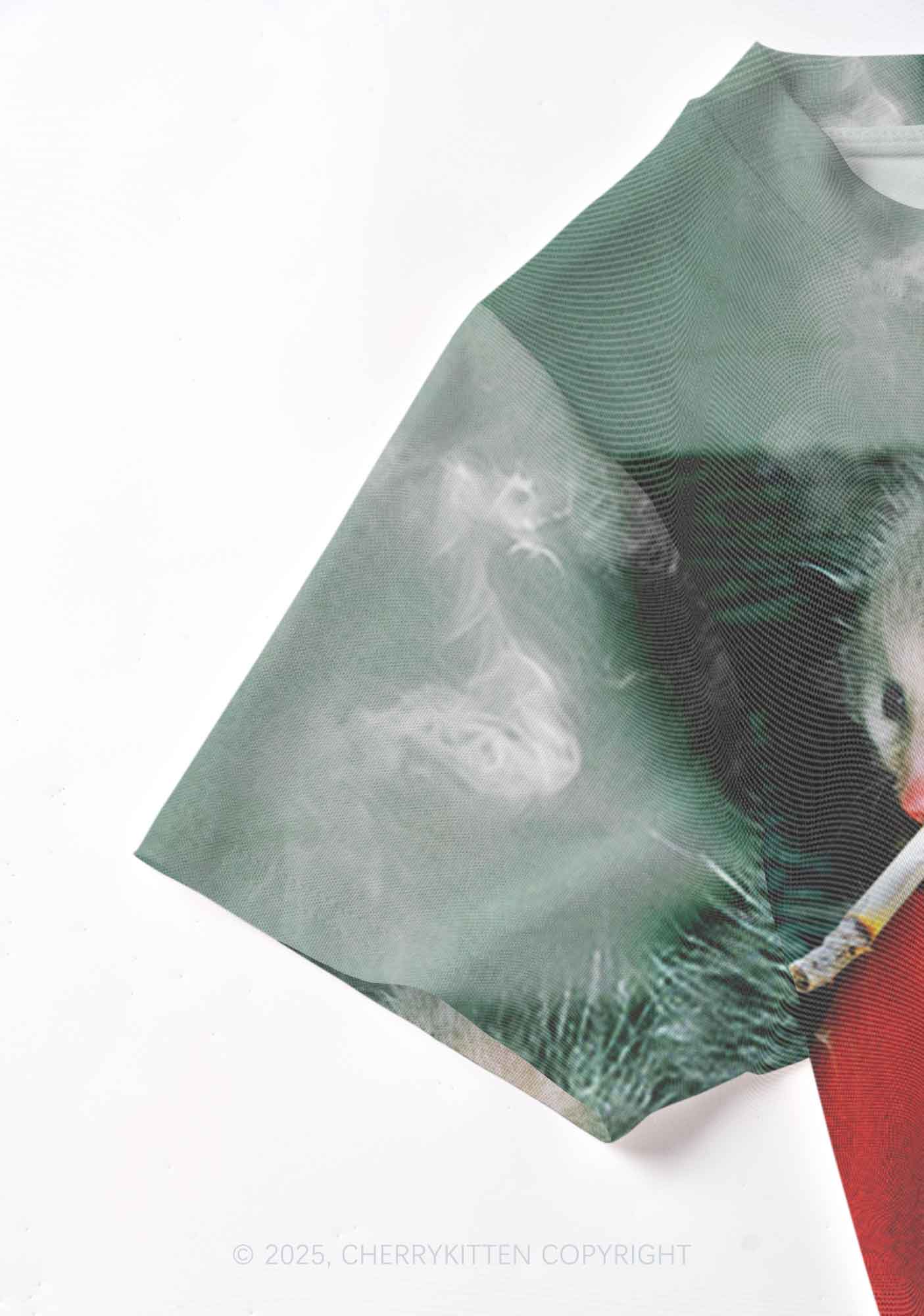 Smoking Badass Rats Y2K Mesh Crop Top Cherrykitten