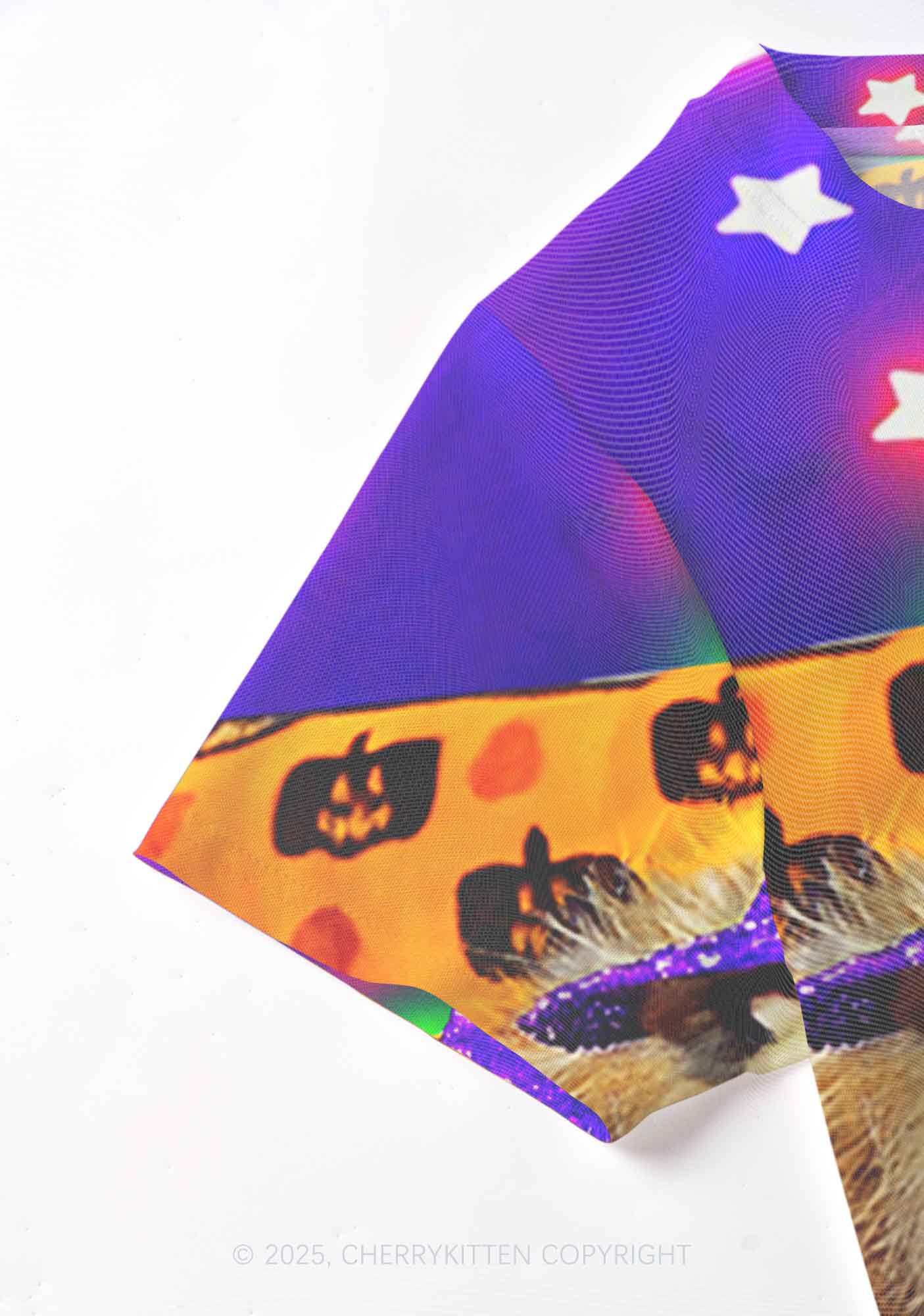 Halloween Sparkle Witch Ratz Y2K Mesh Crop Top Cherrykitten