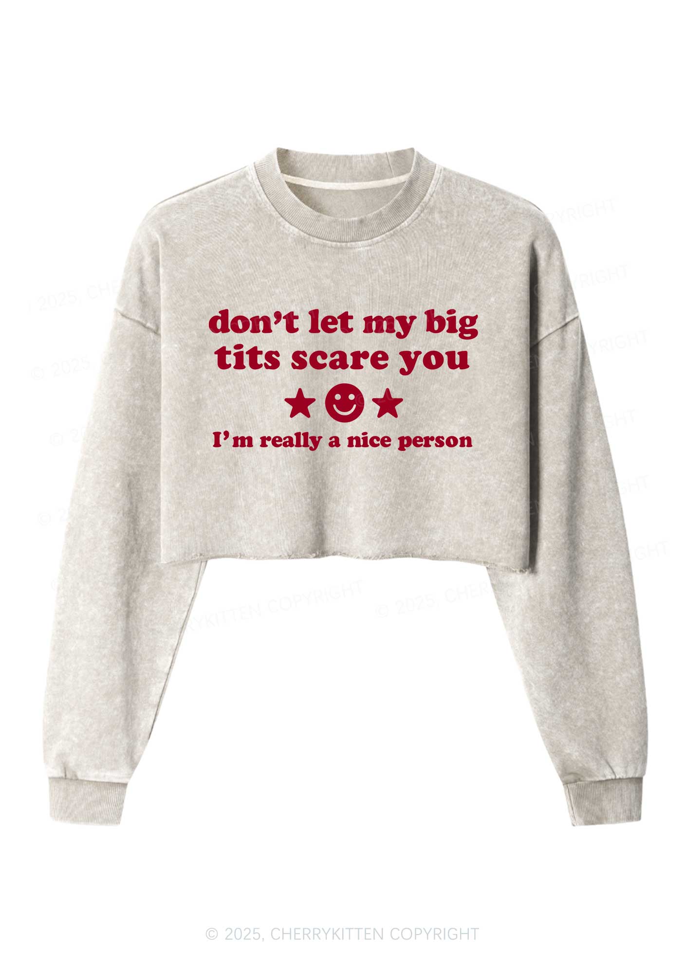 Dont Let My Big Txts Scare You Y2K Crop Washed Sweatshirts Cherrykitten