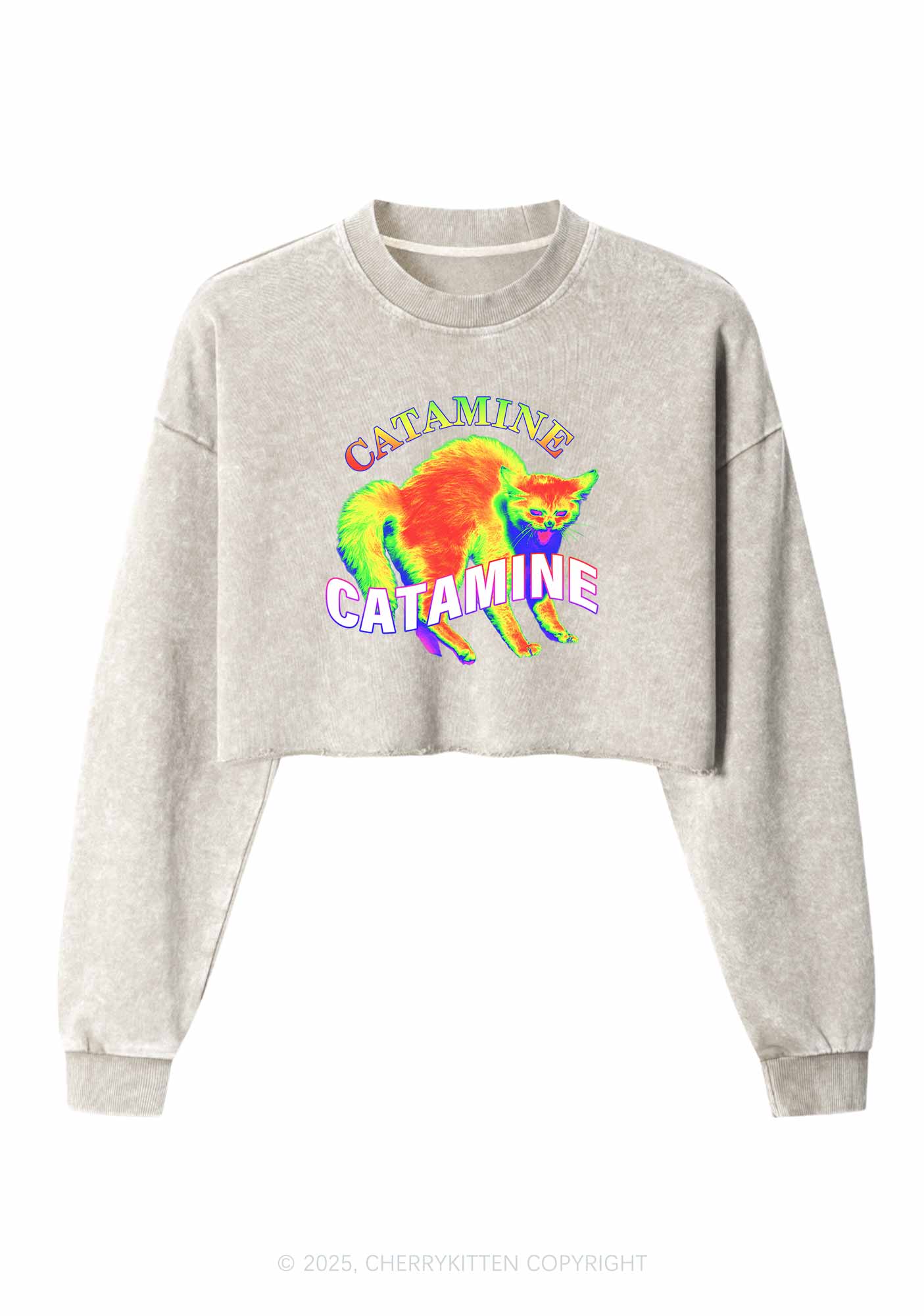 Thermal Cat Y2K Crop Washed Sweatshirts Cherrykitten
