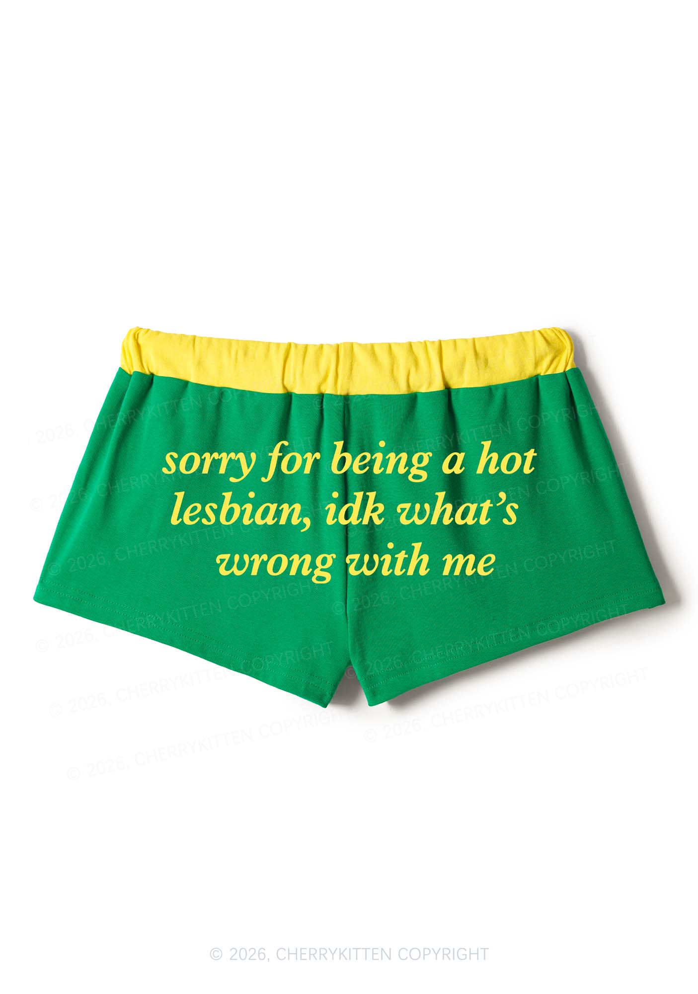 Sorry For Being Hot Lesbian Pride Y2K Drawstring Mini Shorts Cherrykitten