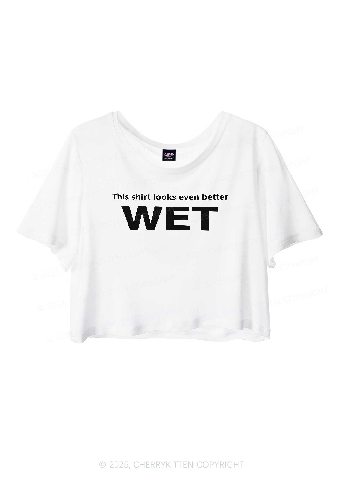 This Shirt Looks Better Wet Y2K Sheer Crop Tee Cherrykitten