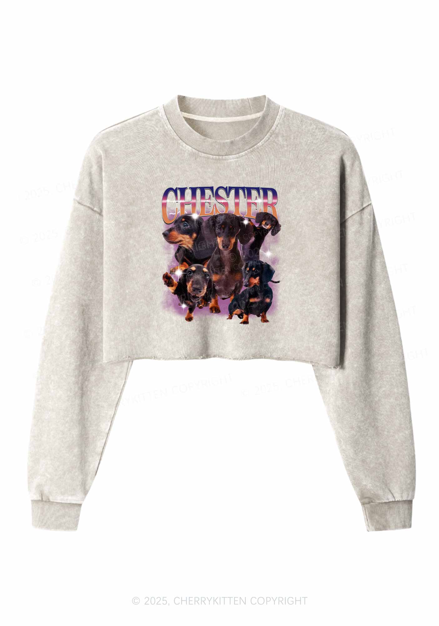 Custom Dog Photo Y2K Crop Washed Sweatshirts Cherrykitten