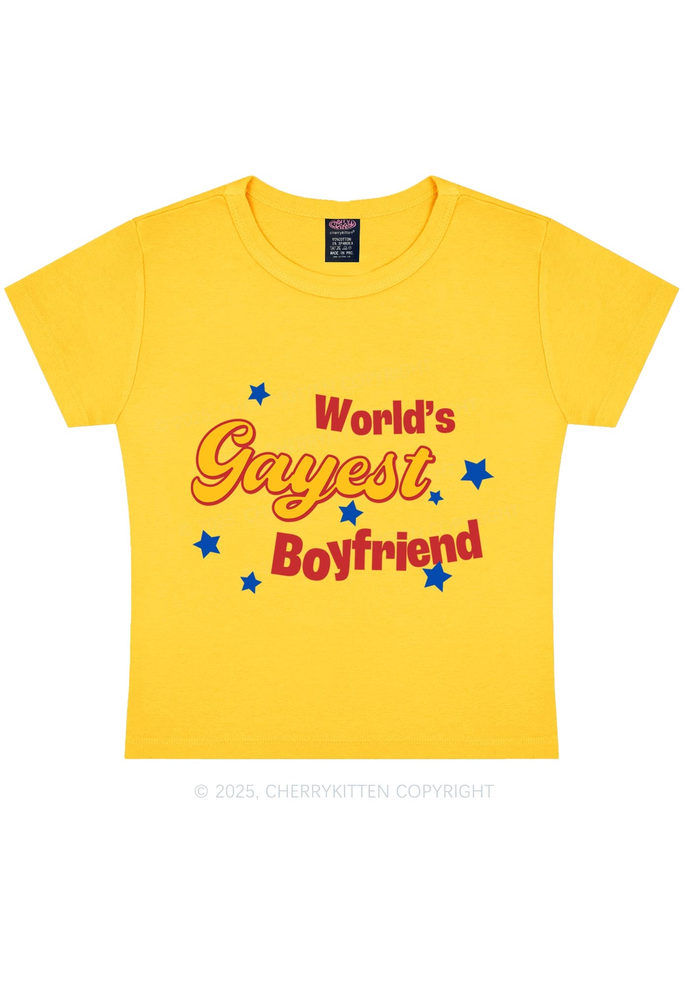 Worlds Gayest Boyfriend Pride Y2K Baby Tee Cherrykitten