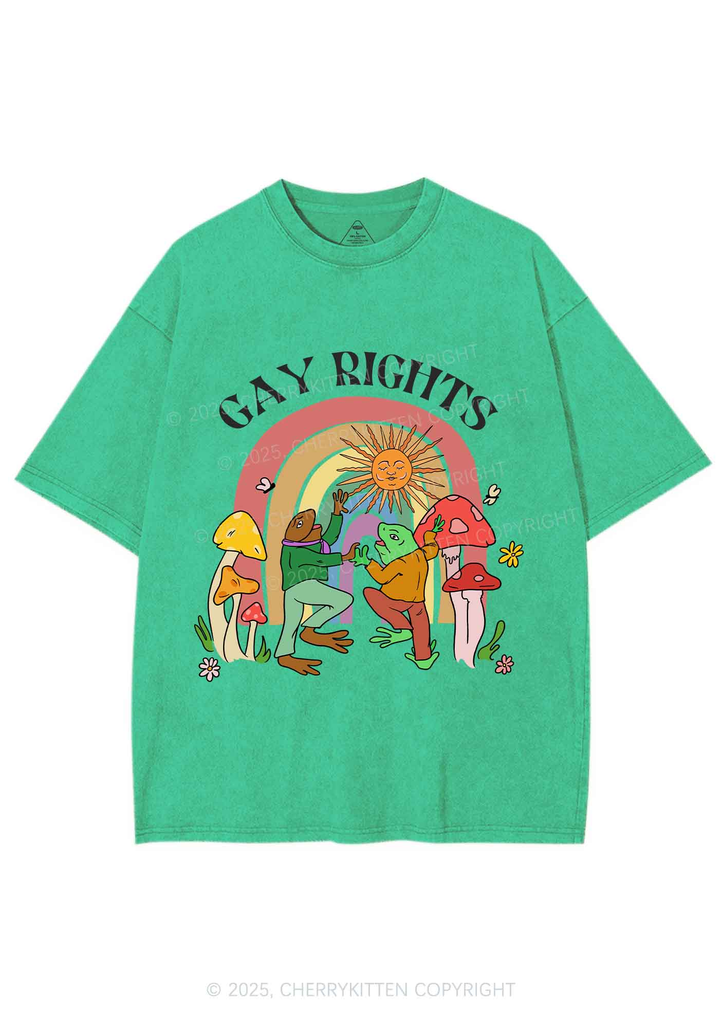Gay Rights Pride Y2K Shirts Washed Tee Cherrykitten