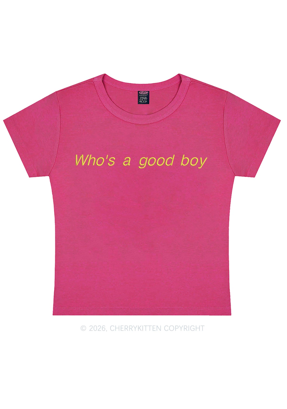 Embroidered Whos A Good Boy Y2K Baby Tee Cherrykitten