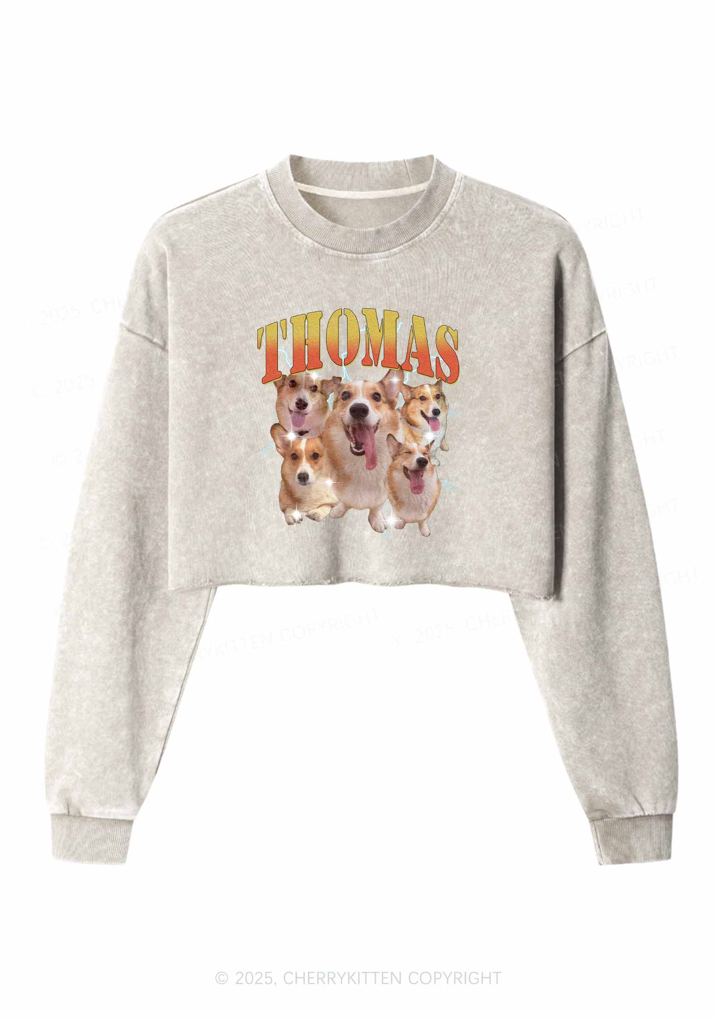 Custom Pet Photo Y2K Crop Washed Sweatshirts Cherrykitten