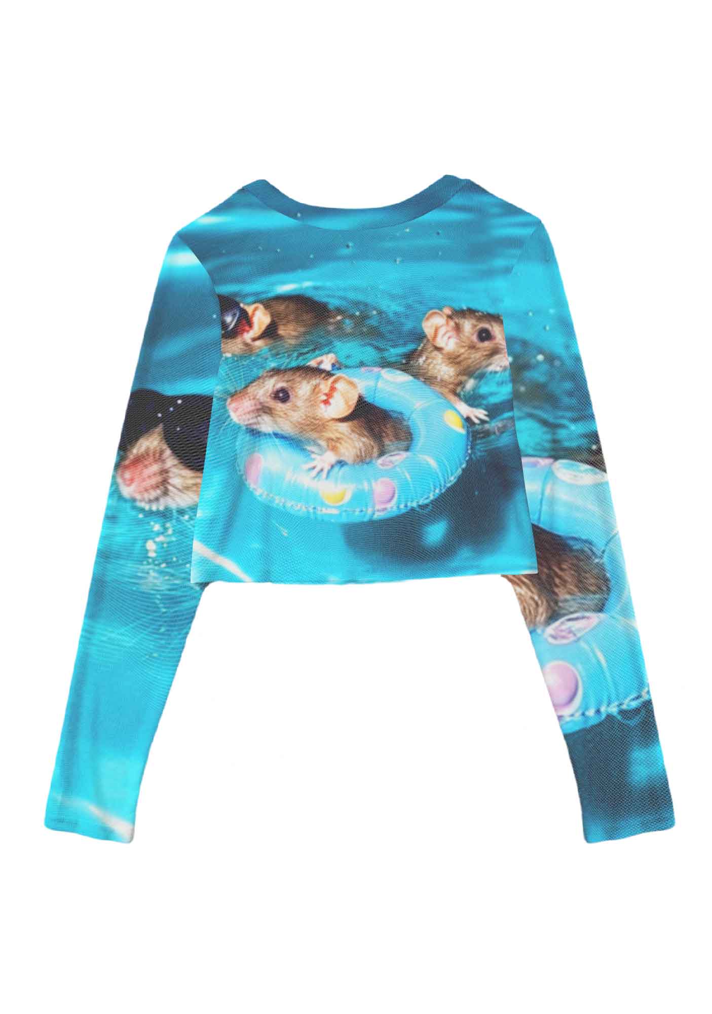 Pool Rats Y2K Mesh Long Sleeve Crop Top Cherrykitten