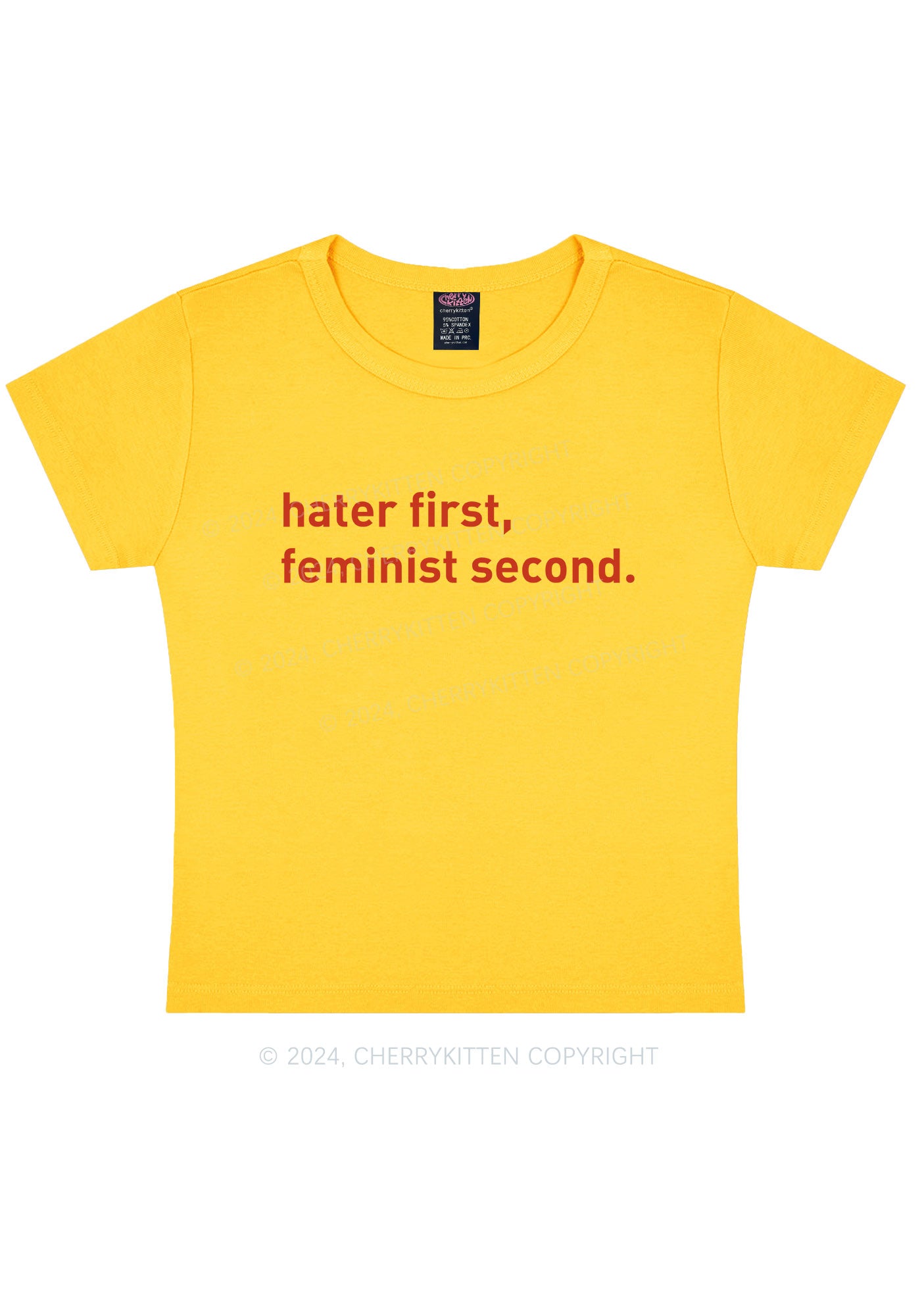 Hater First Feminist Second Y2K Baby Tee