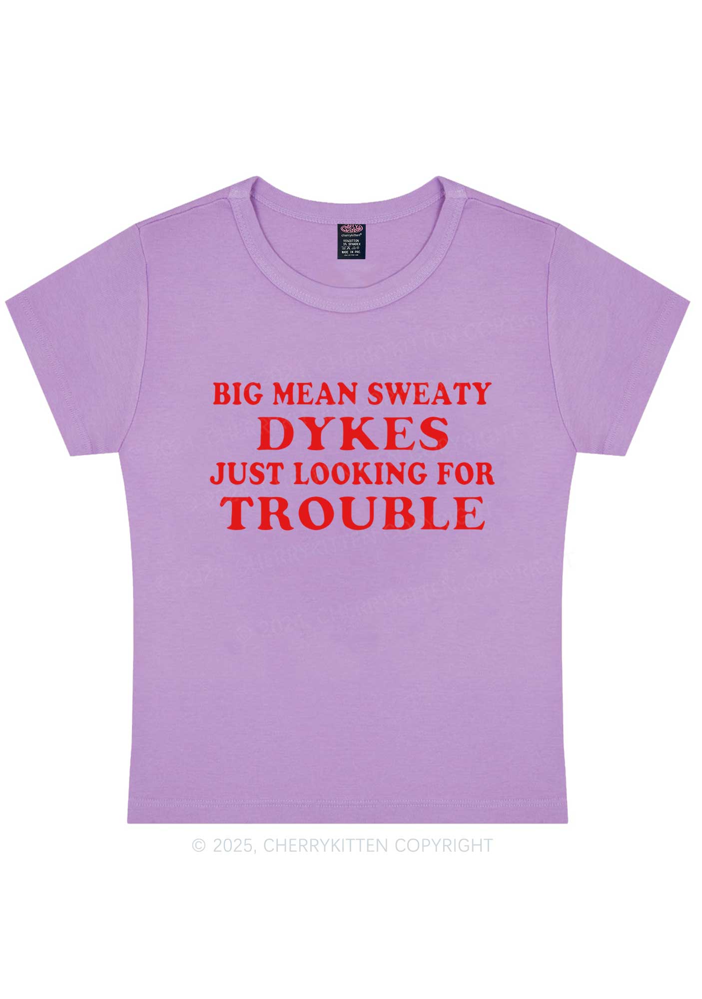 Dykes Trouble Y2K Baby Tee Cherrykitten