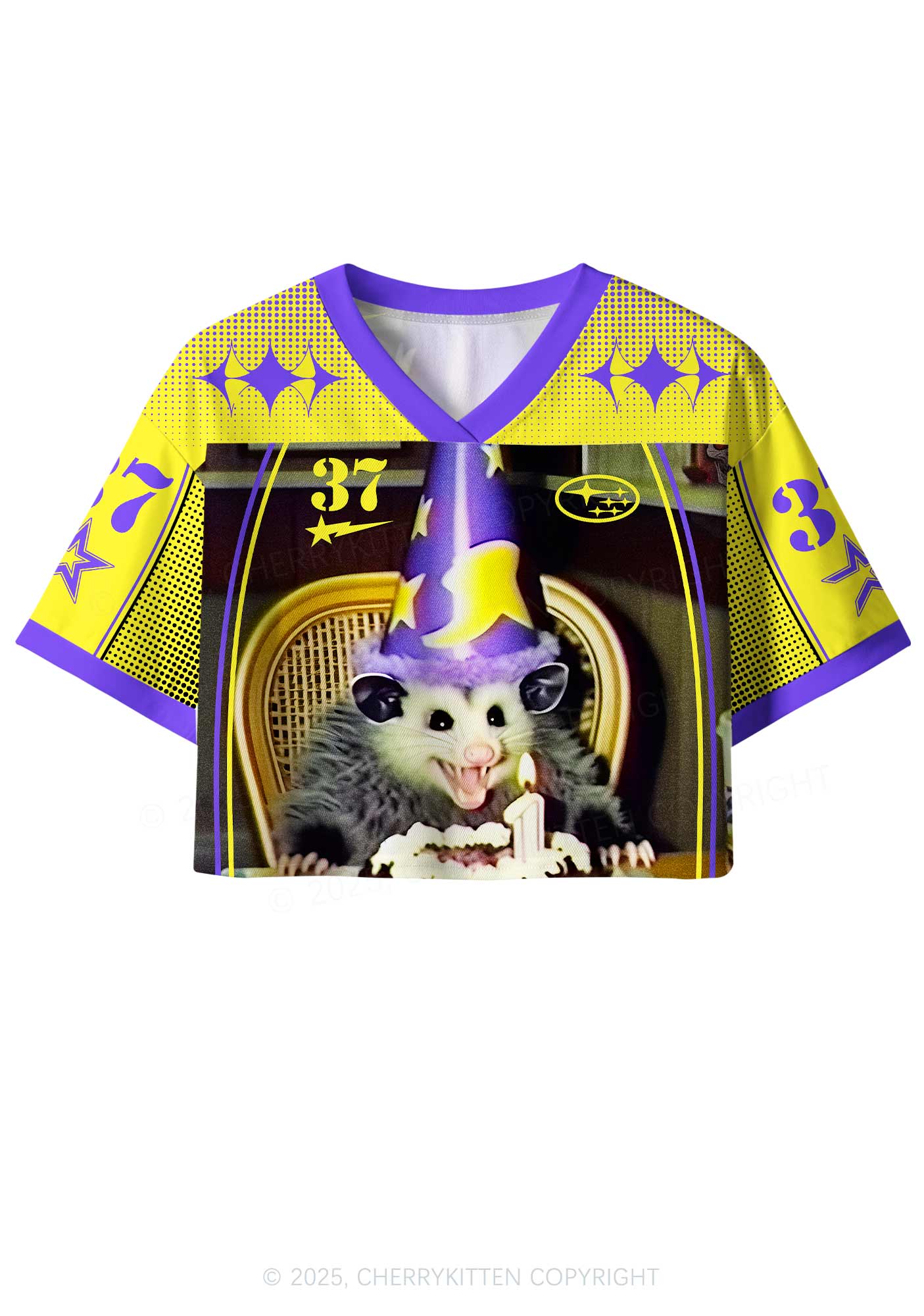 Custom Birthday Rat Y2K Crop Sport Jersey Shirts Cherrykitten