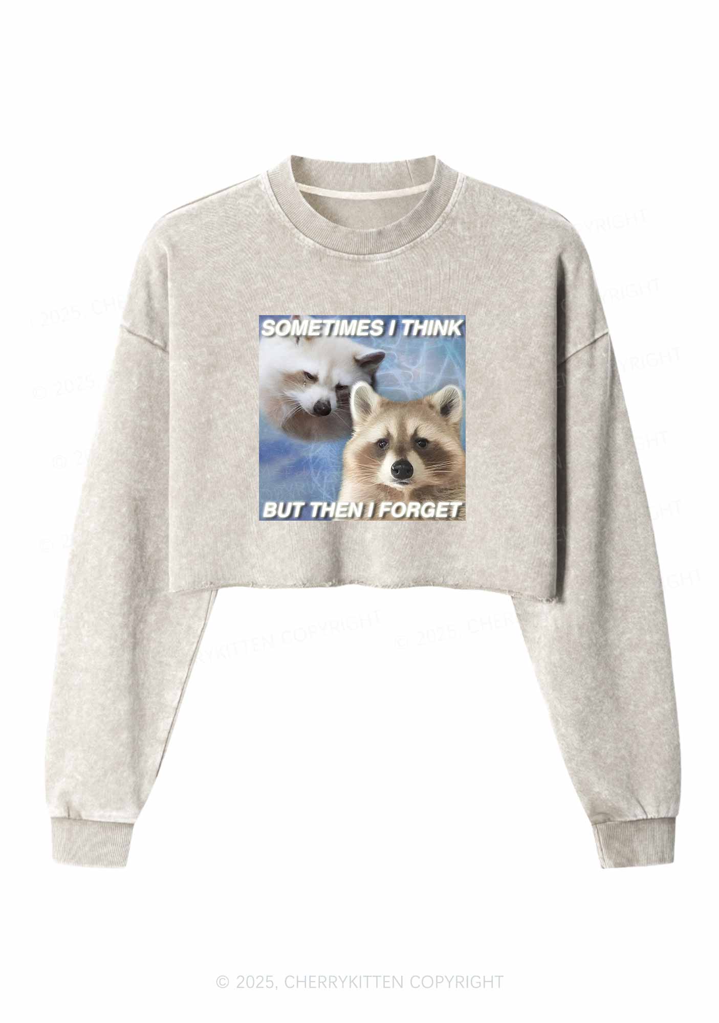 Raccoon Sometimes Think Y2K Crop Washed Sweatshirts Cherrykitten
