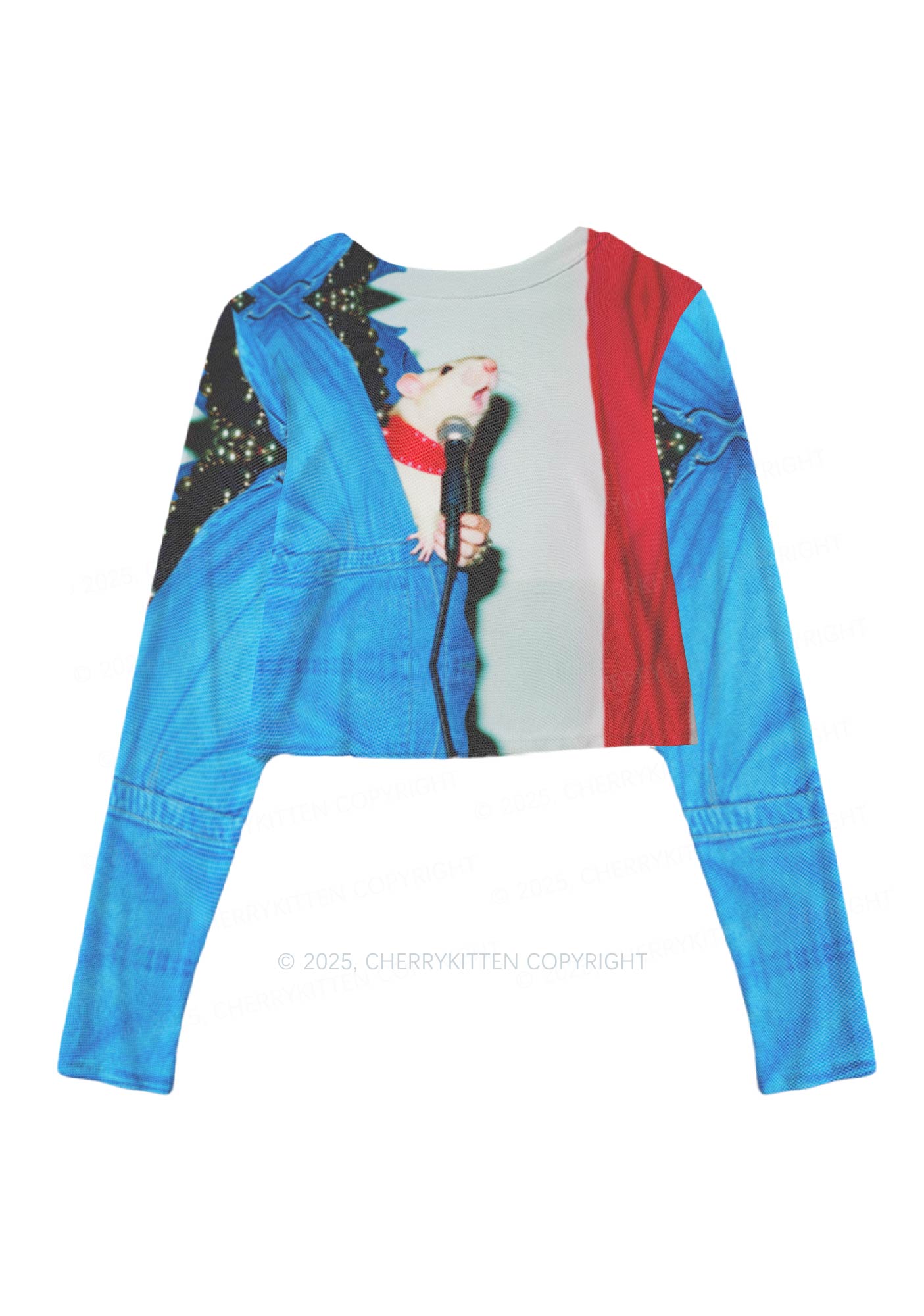 Singer Ratz Y2K Mesh Long Sleeve Crop Top Cherrykitten