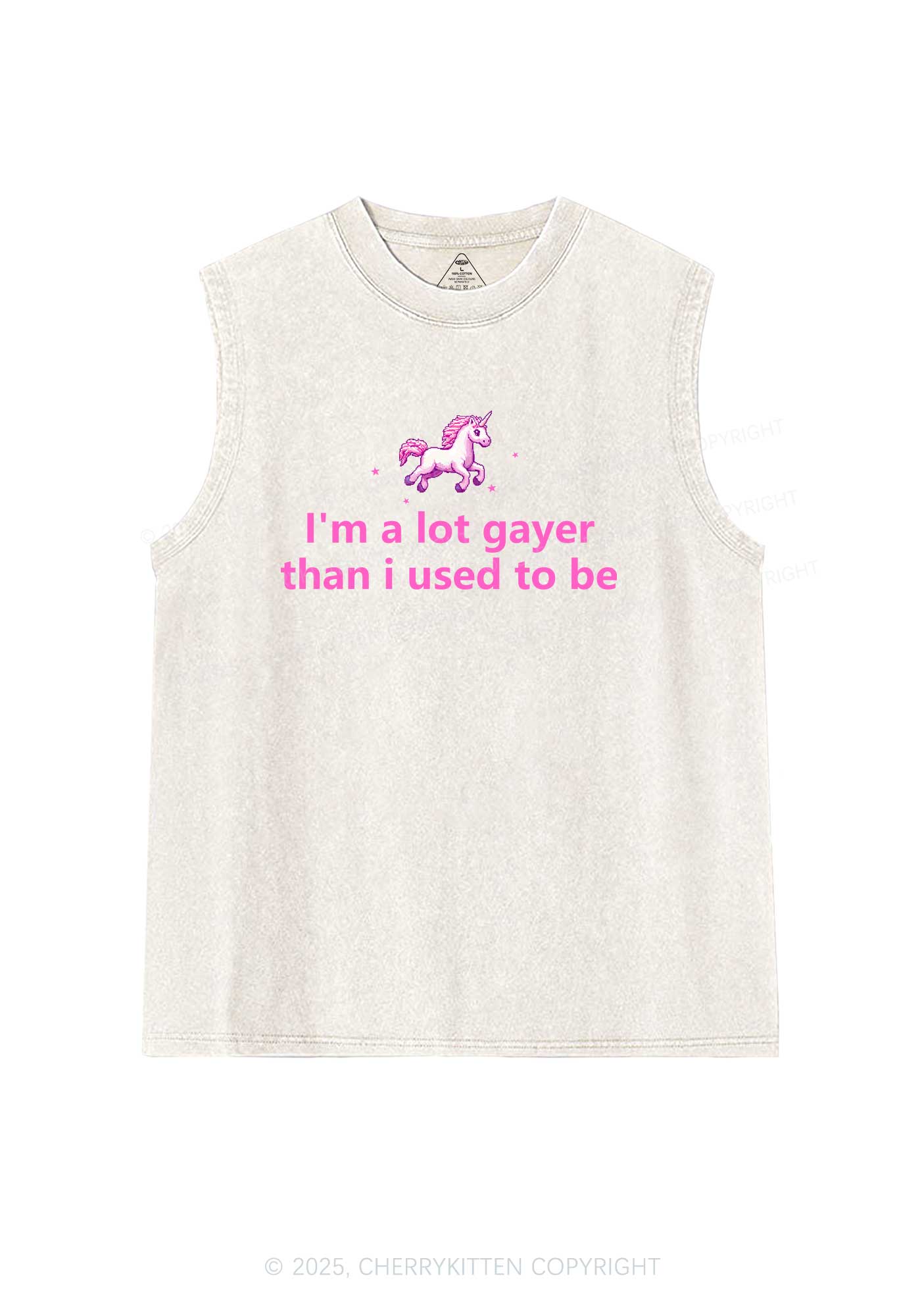 Im A Lot Gayer Pride Y2K Washed Muscle Tank Cherrykitten