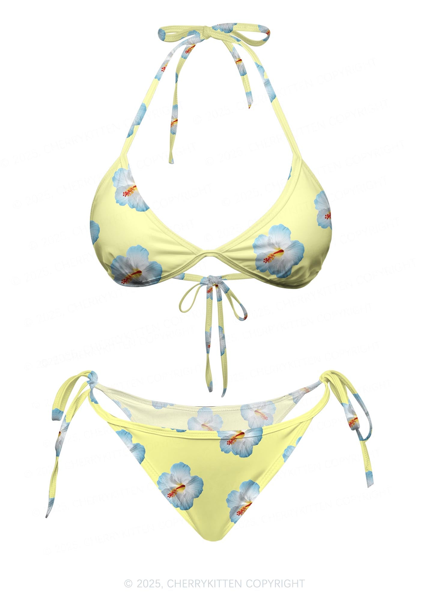 Blue Flowers Y2K Print Bikini Set Cherrykitten