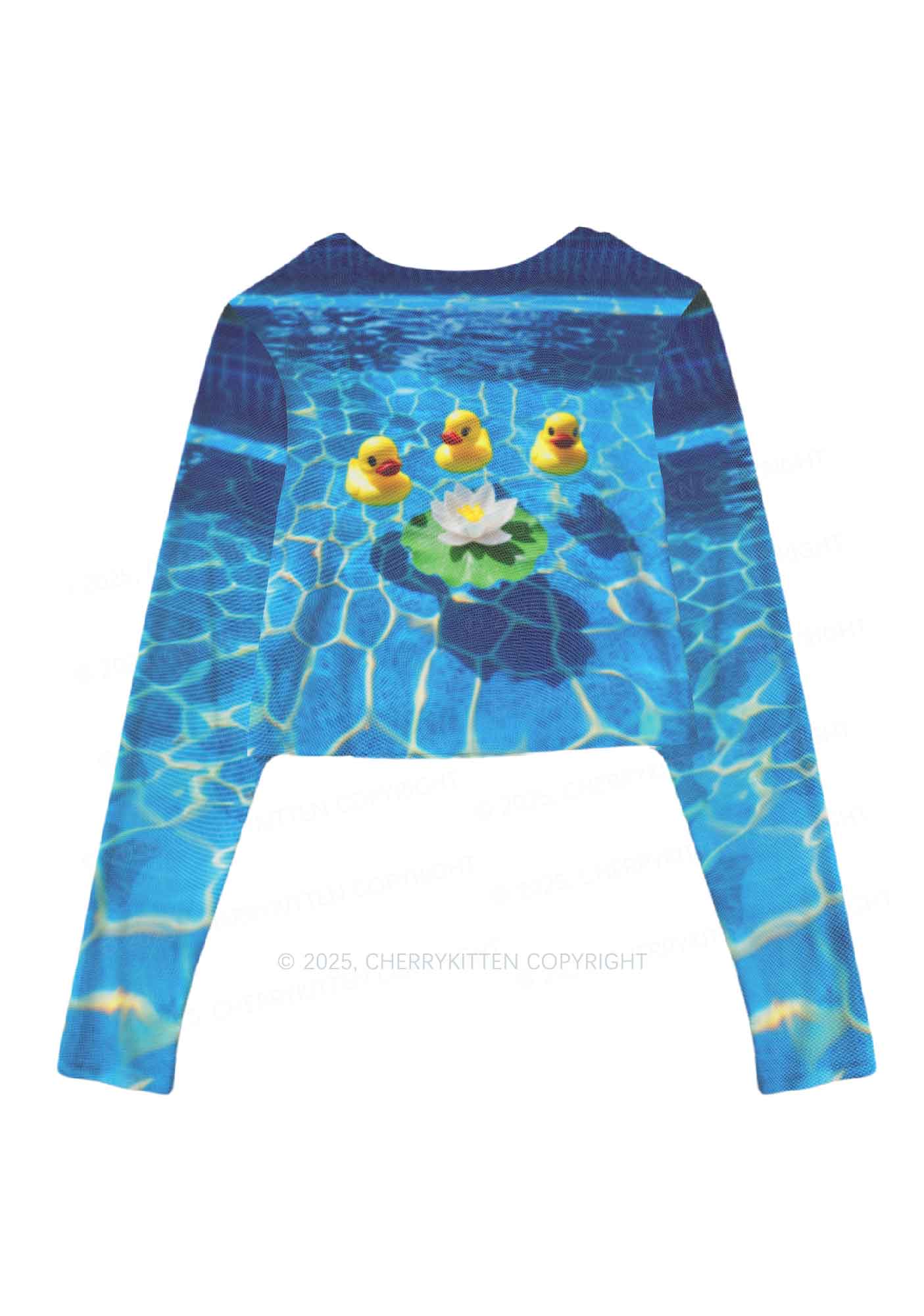 Three Ducks And Lily Y2K Mesh Long Sleeve Crop Top Cherrykitten