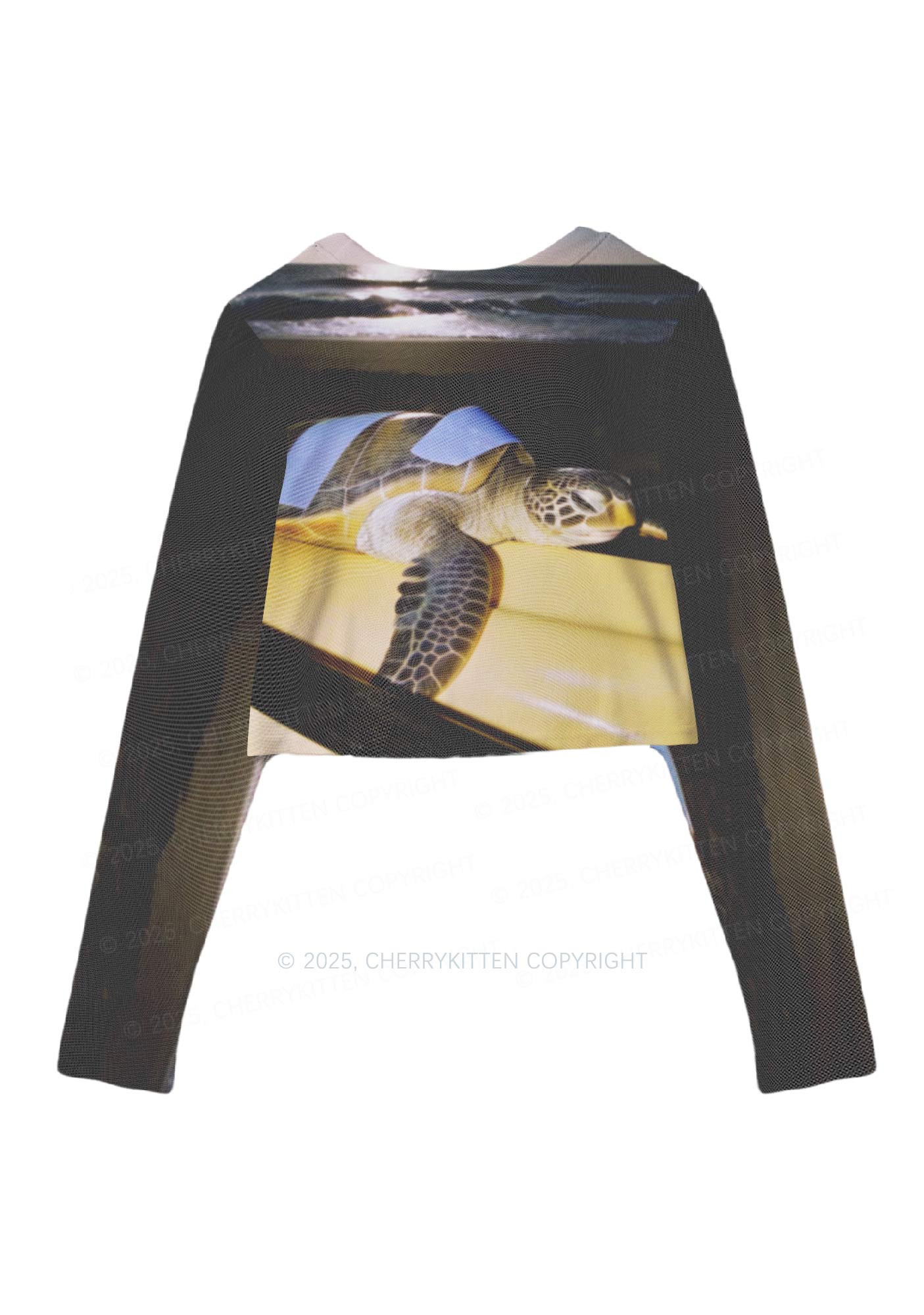 Turtle On Surfboard Y2K Mesh Long Sleeve Crop Top Cherrykitten