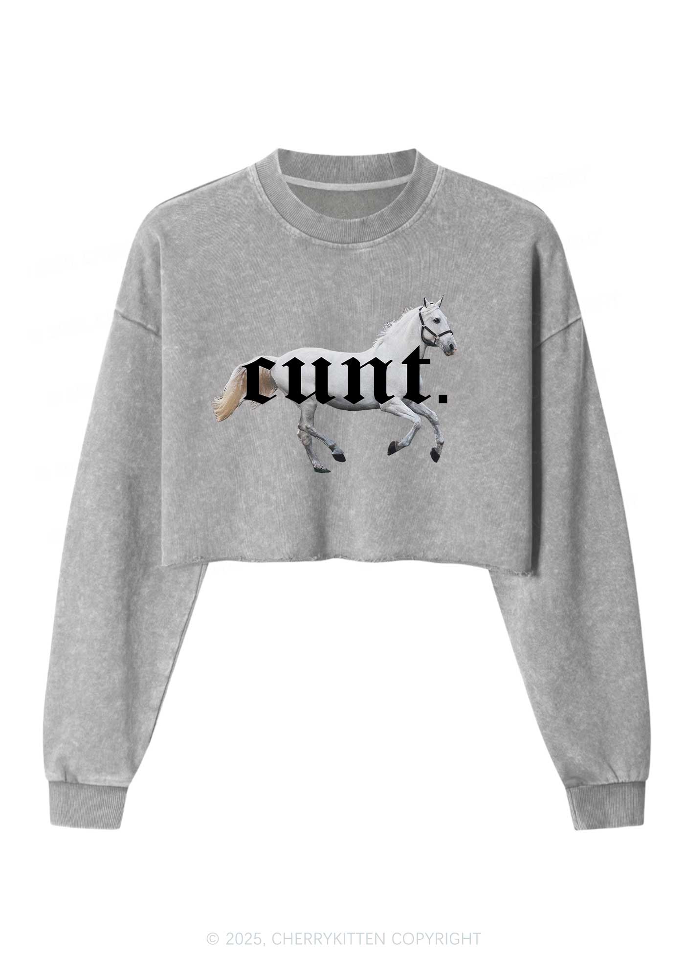 Cxxt Horse Y2K Crop Washed Sweatshirts Cherrykitten