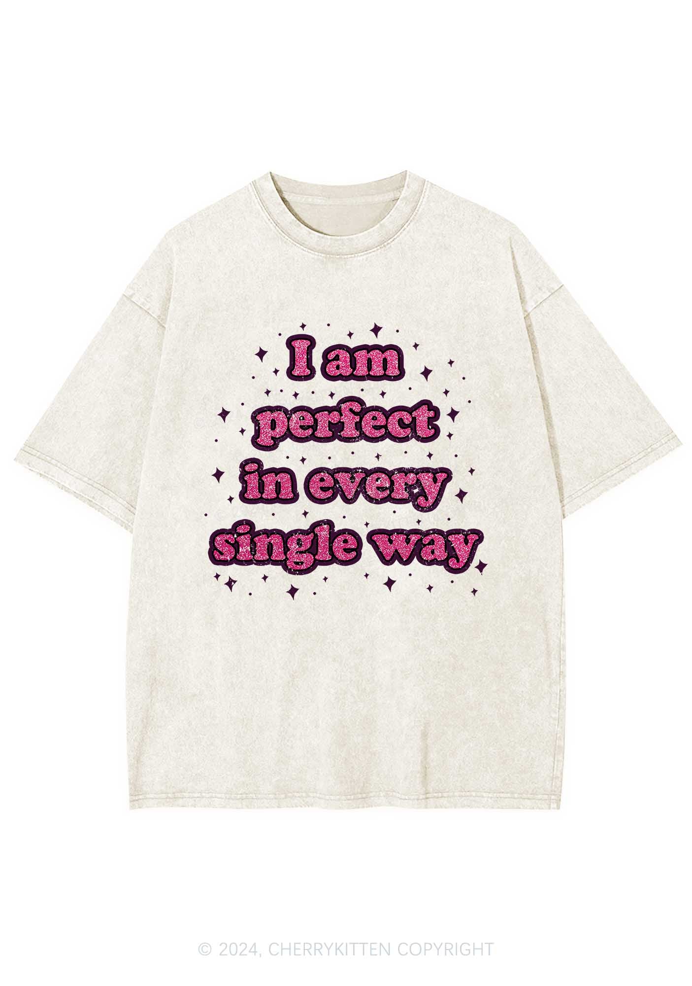 I'm Perfect In Every Single Way Y2K Washed Tee Cherrykitten