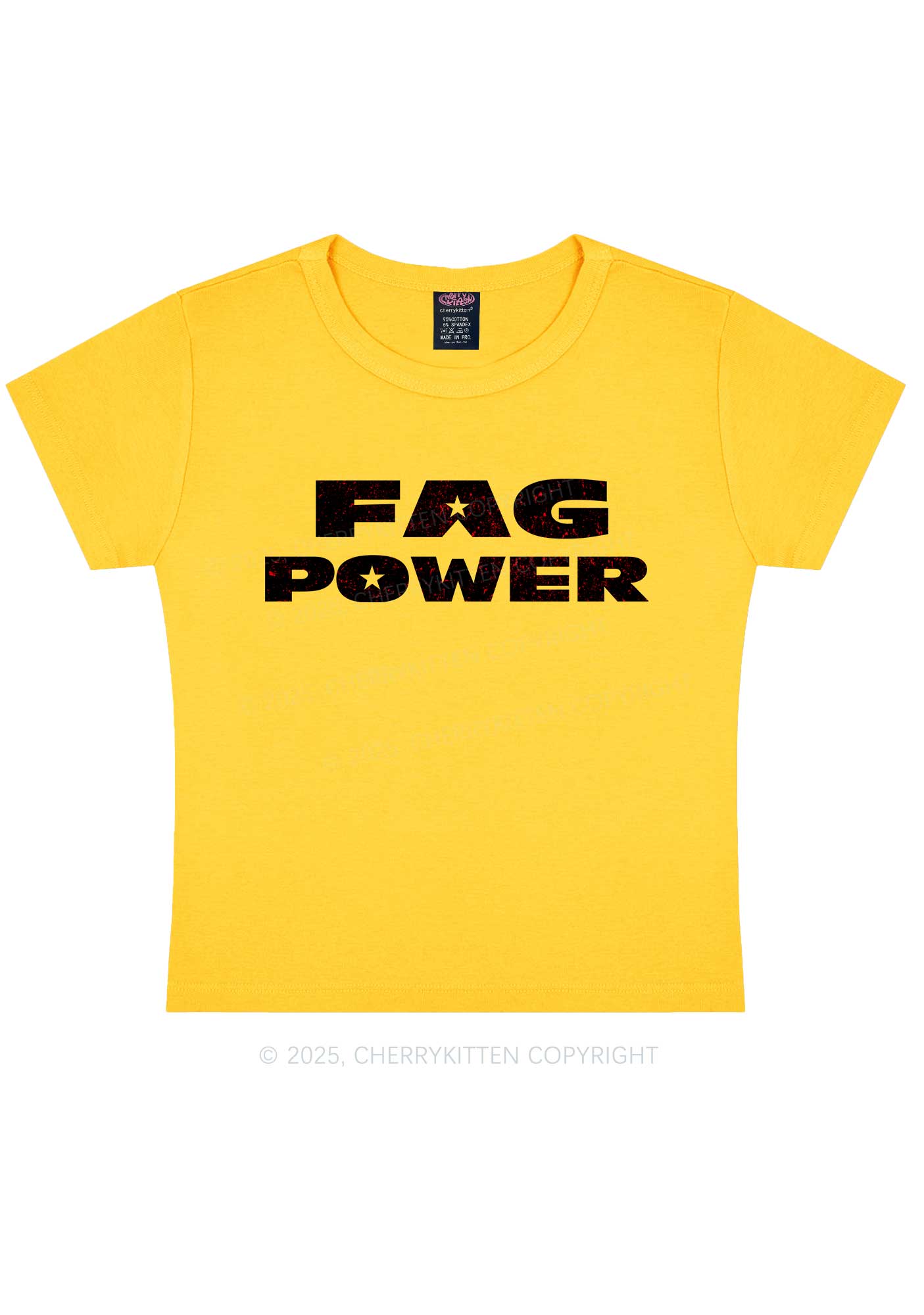 Fag Power Pride Y2K Baby Tee Cherrykitten
