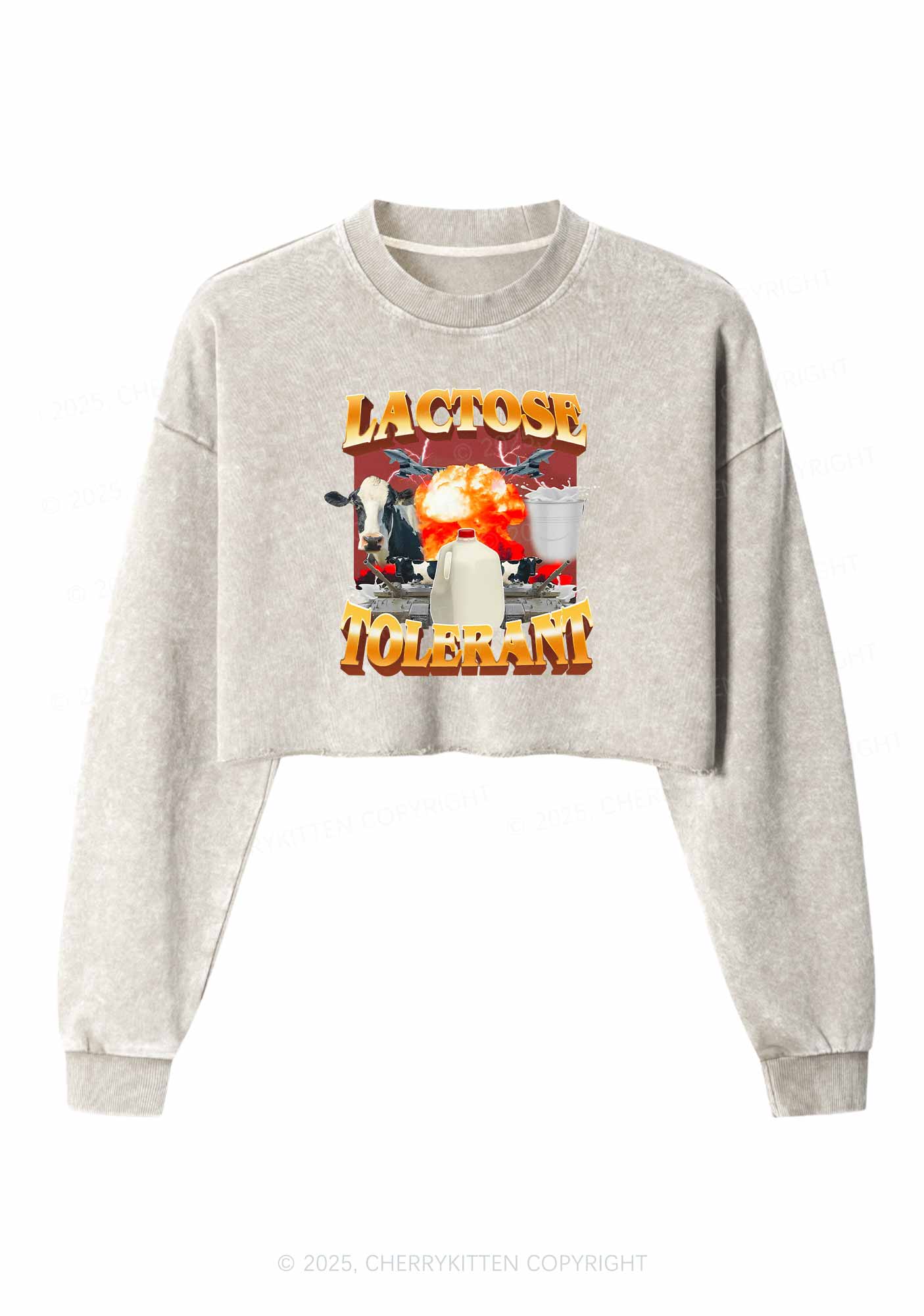 Retro Milk Lactose Tolerant Y2K Crop Washed Sweatshirts Cherrykitten