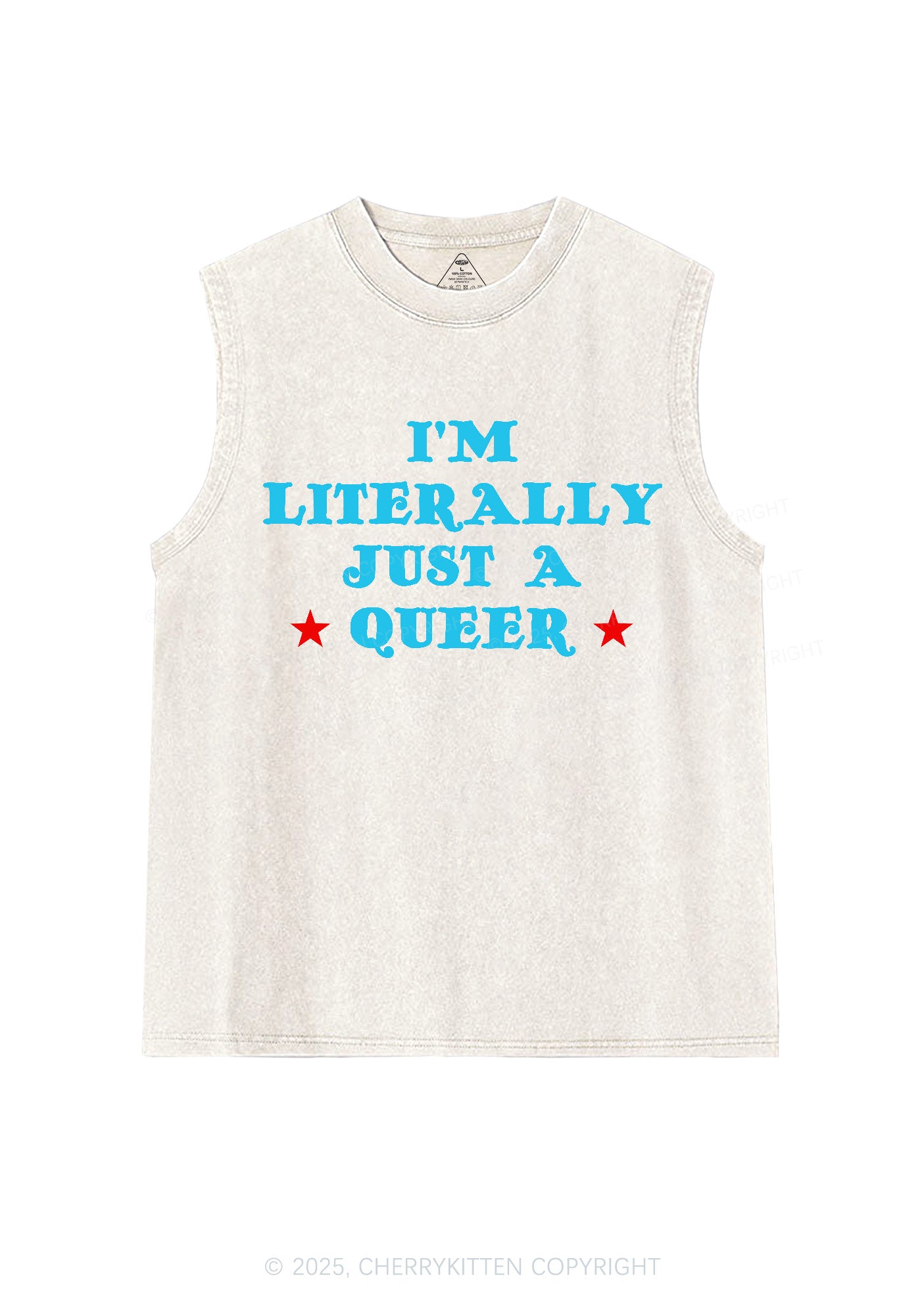 Just A Queer Pride Y2K Washed Muscle Tank Cherrykitten