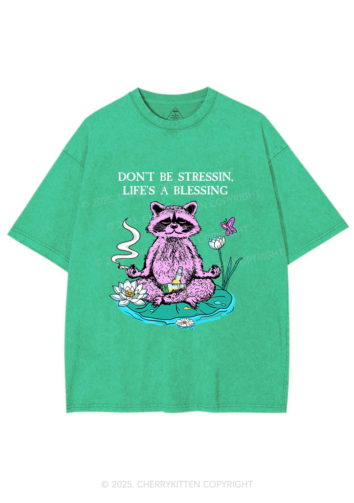 Dont Stress Raccoon Y2K Shirts Washed Tee Cherrykitten