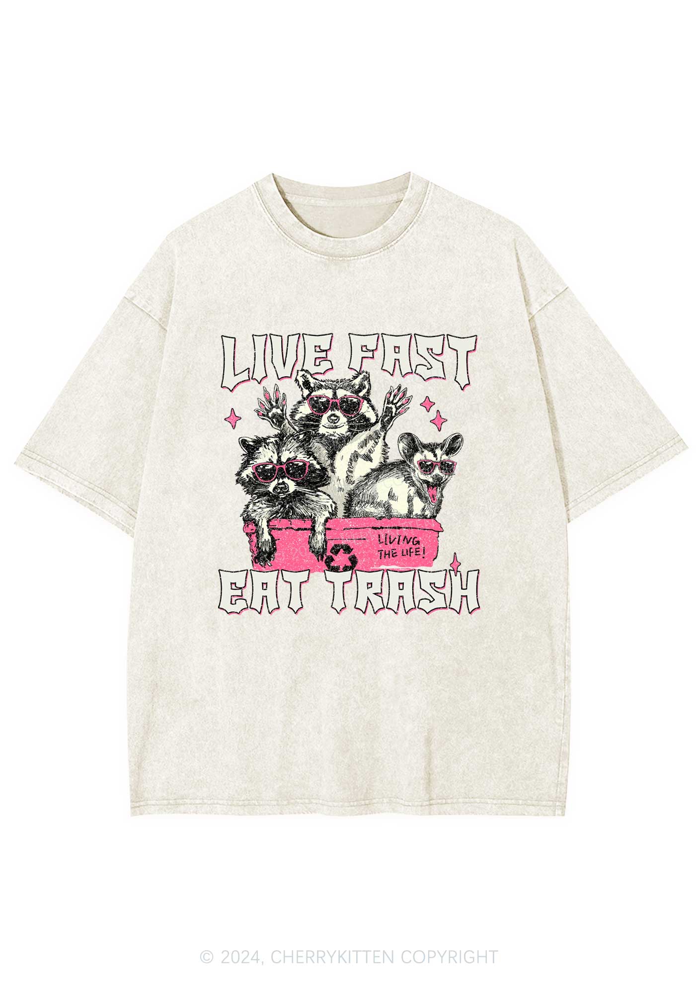 Live Fast Eat Trash Y2K Washed Tee Cherrykitten