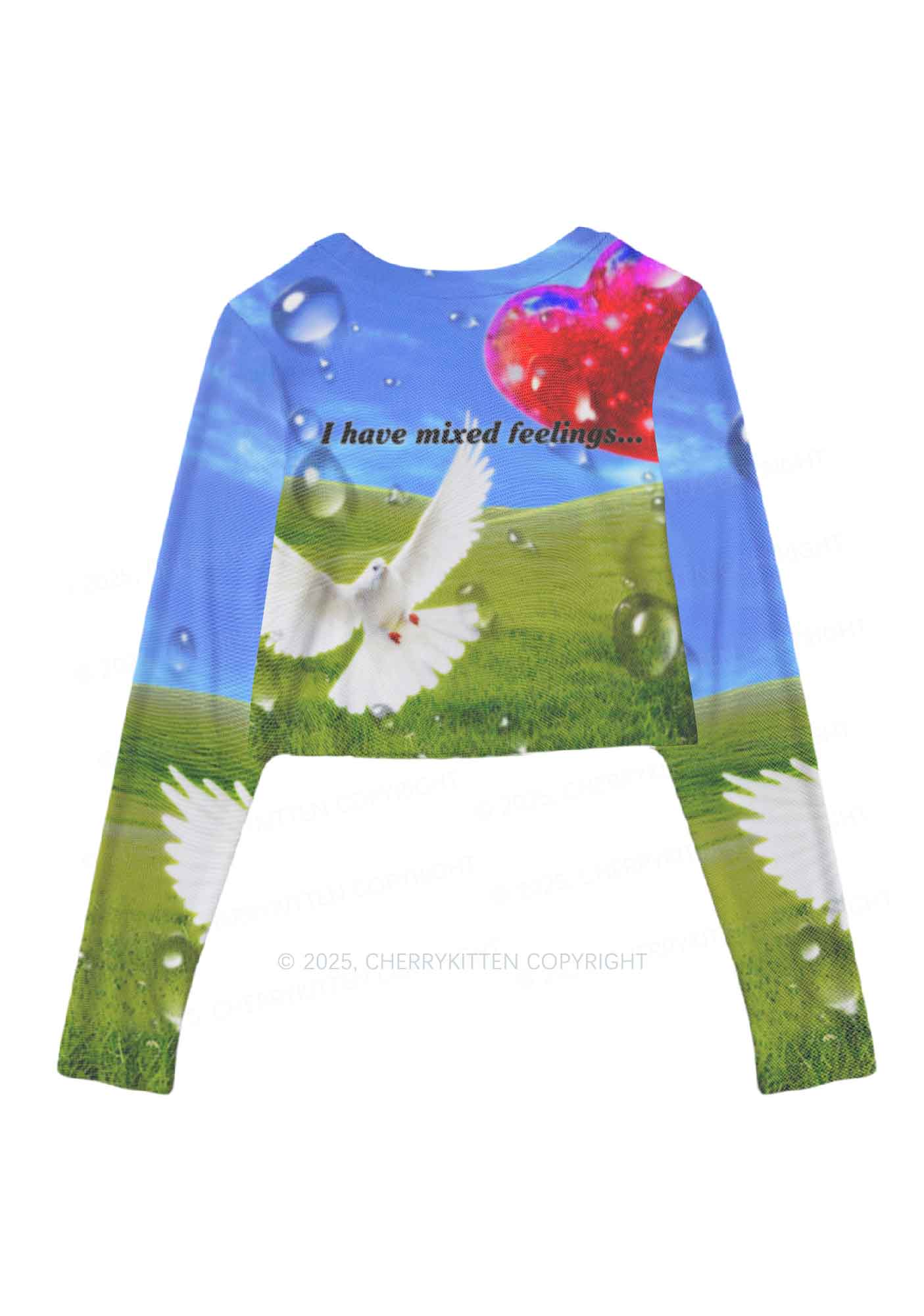 Dove And Mixed Feelings Y2K Mesh Long Sleeve Crop Top Cherrykitten